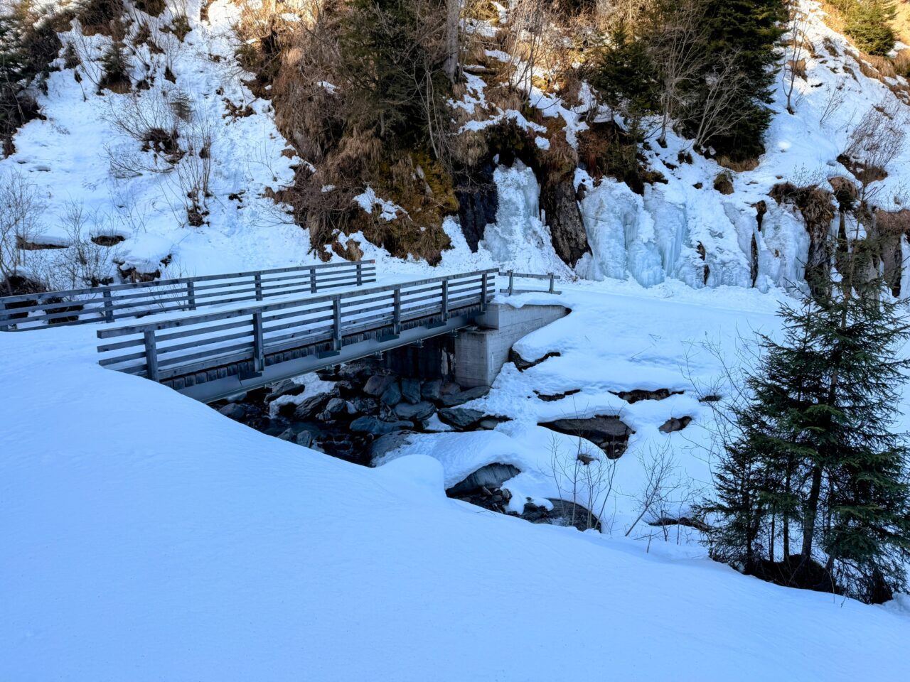schneeschuhsafari-graubuenden-sedrun-disentis-_IMG_0270