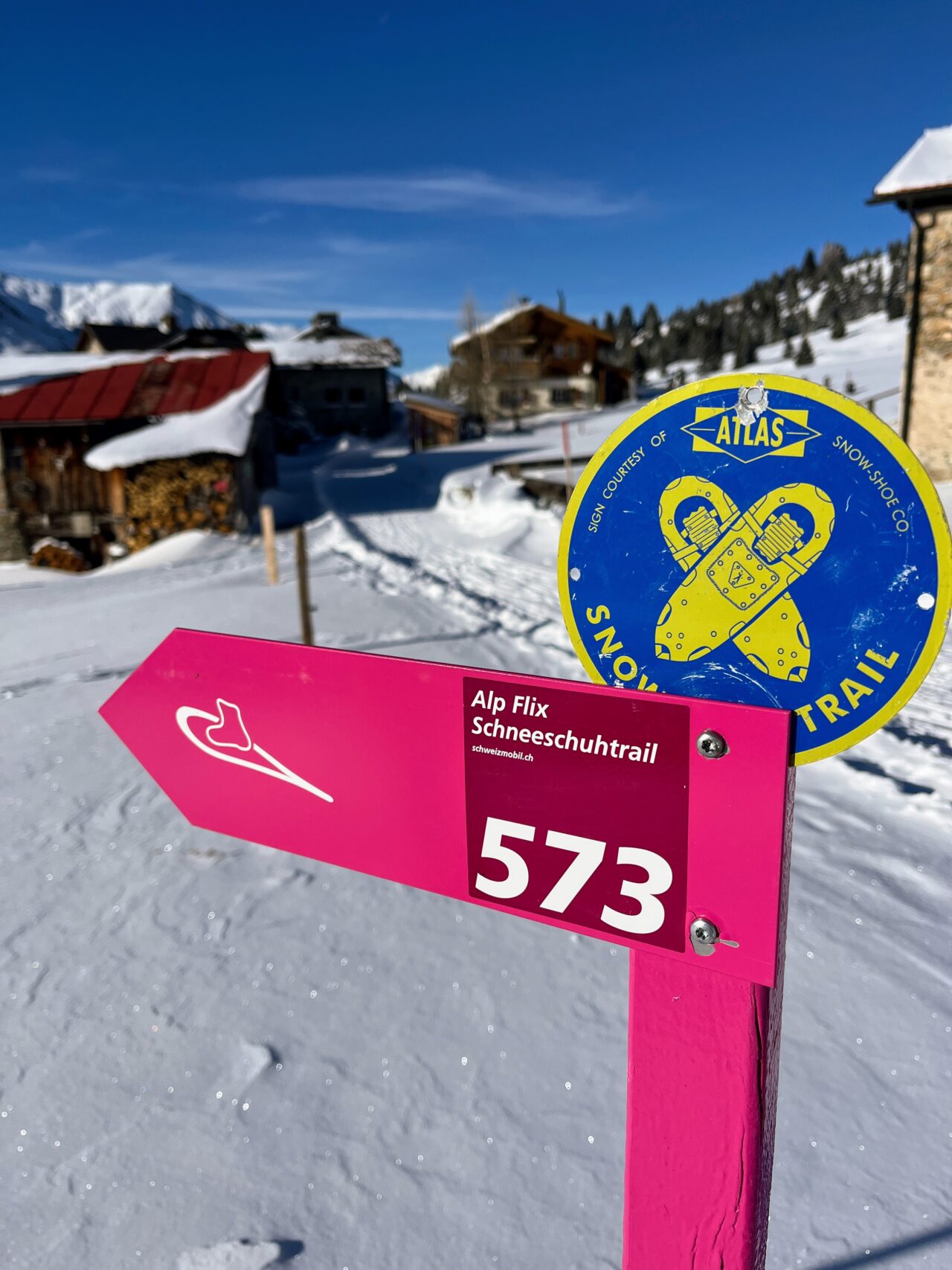 schneeschuhtour_alp_flix_573_schweizmobil__IMG_6287
