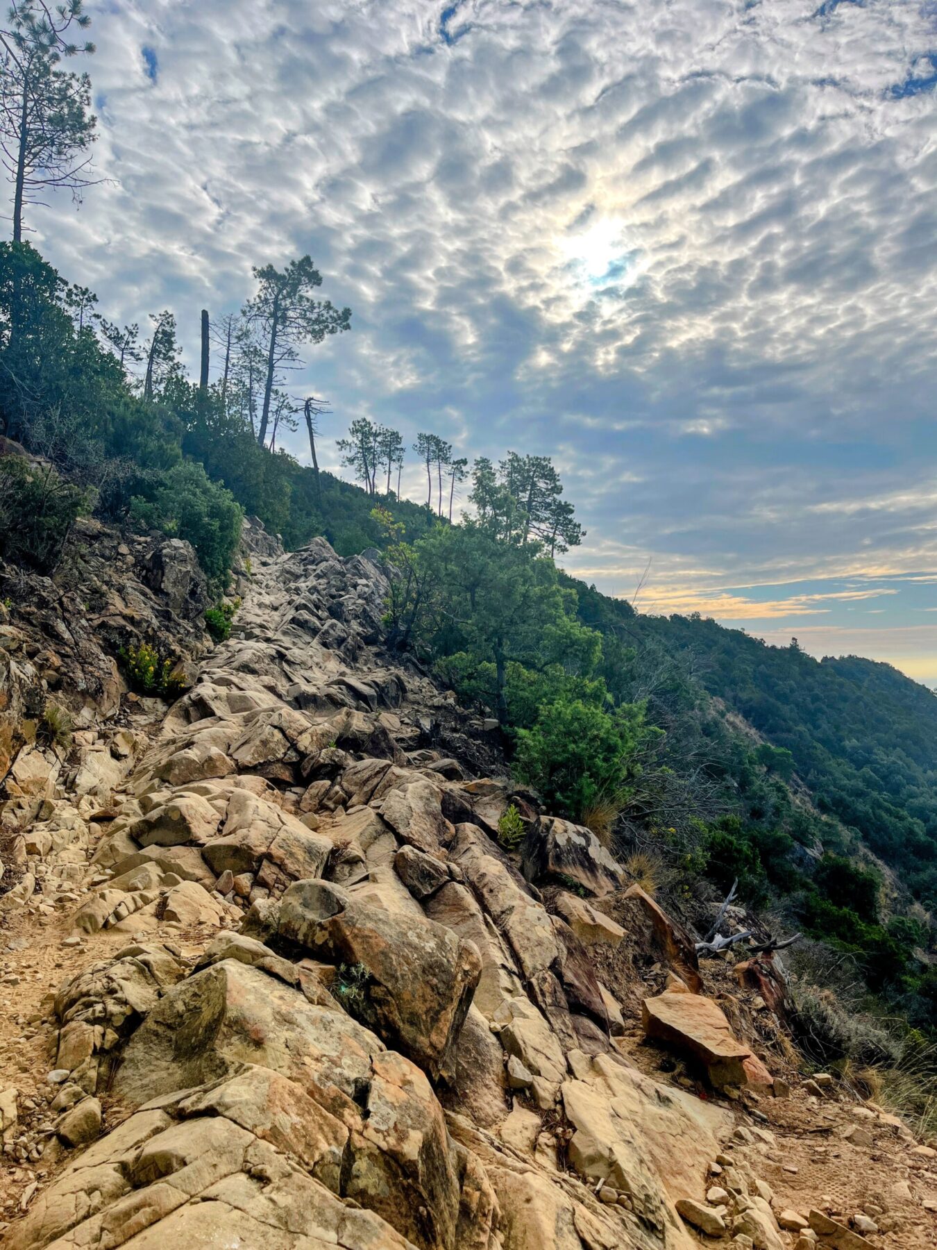 wandern_cinque_terre_