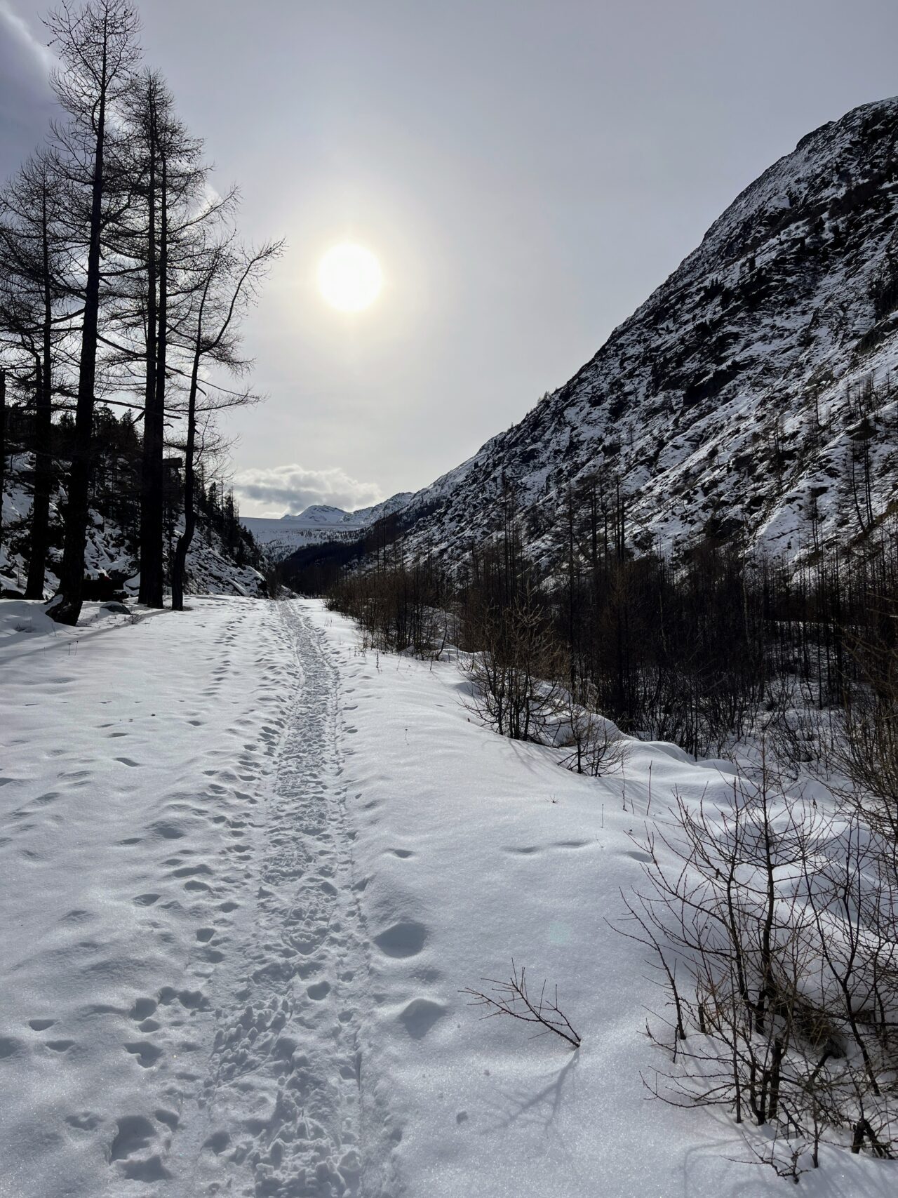 schneeschuhwanderung-mattmark-_IMG_9008