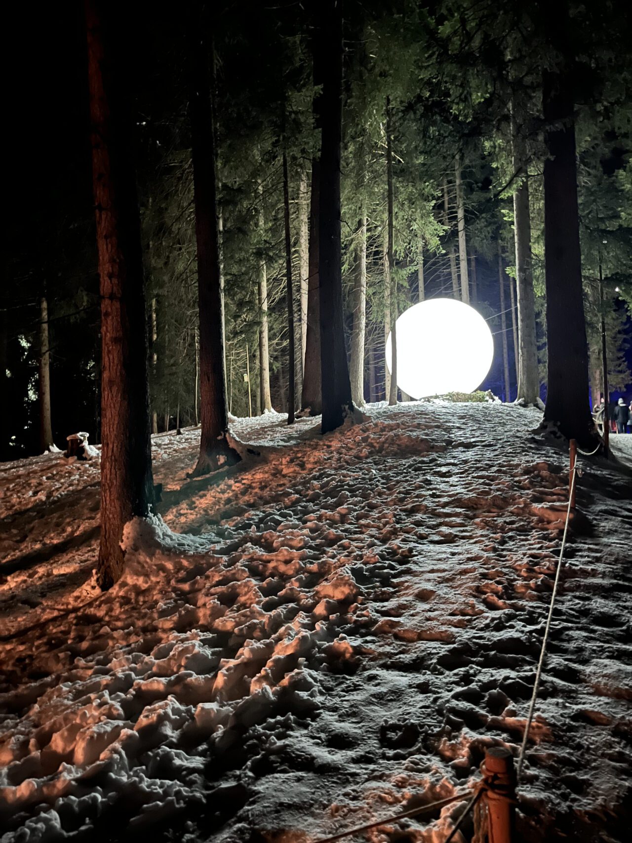 wanderung_lenzerheide_zauberwald__IMG_0186