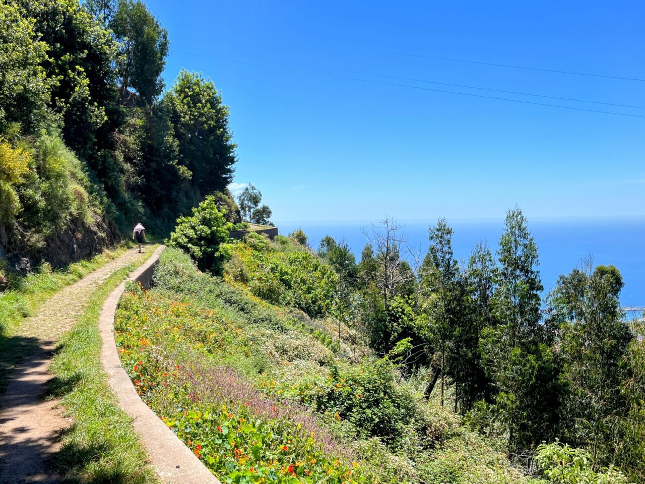 wanderung_monte_botanischer_garten_funchal_