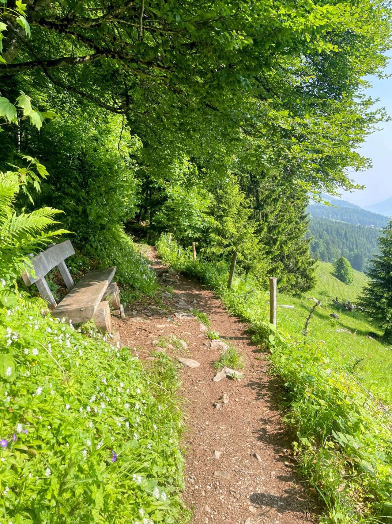 wanderung_brunni_hagenegg_mostelberg_sattel_