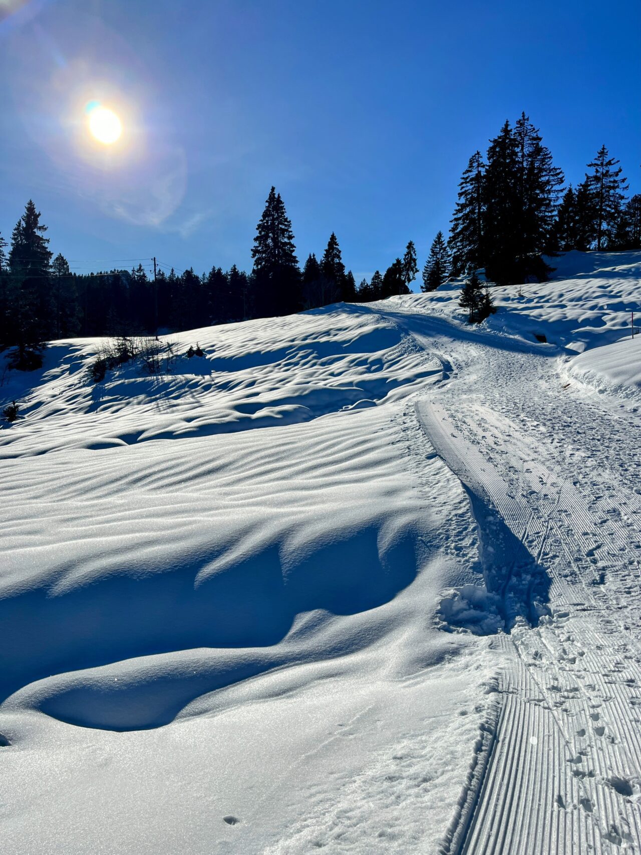 schneeschuhwanderung_oberiberg_furggelenstock__IMG_2805