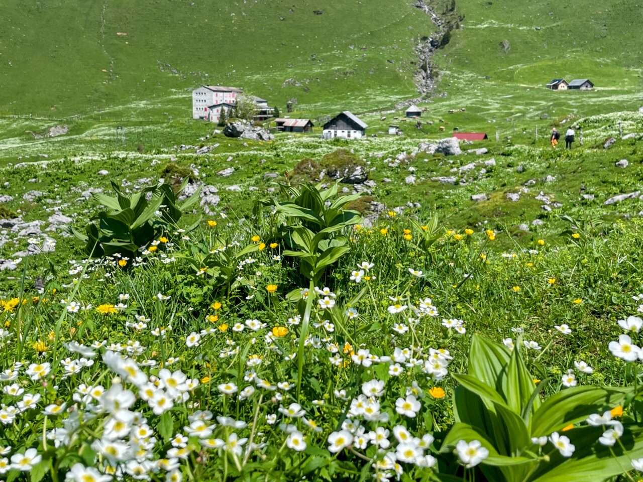 wanderung_engelberg_brunni_bannalp_walenpfad_