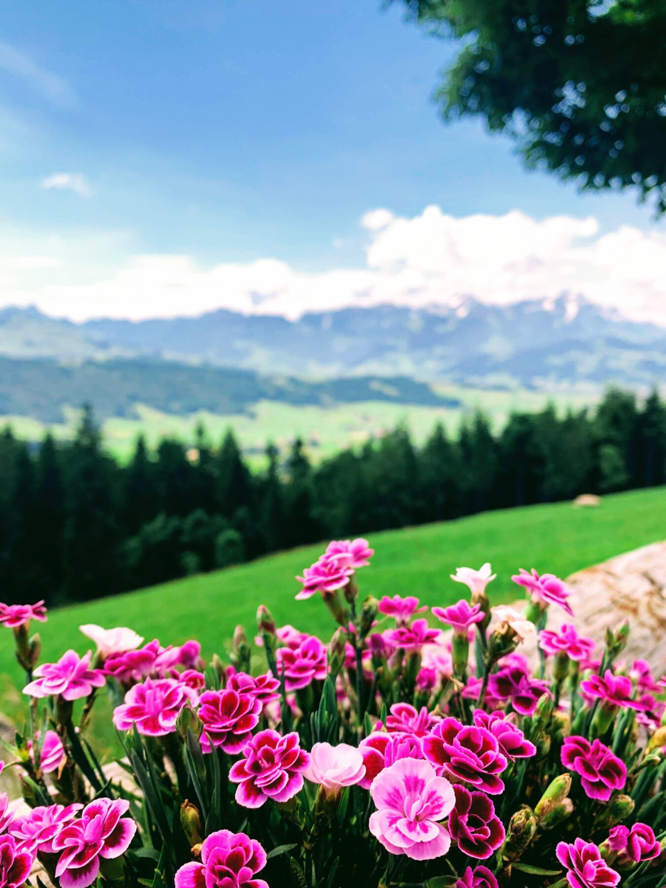 wanderung_gaebris_