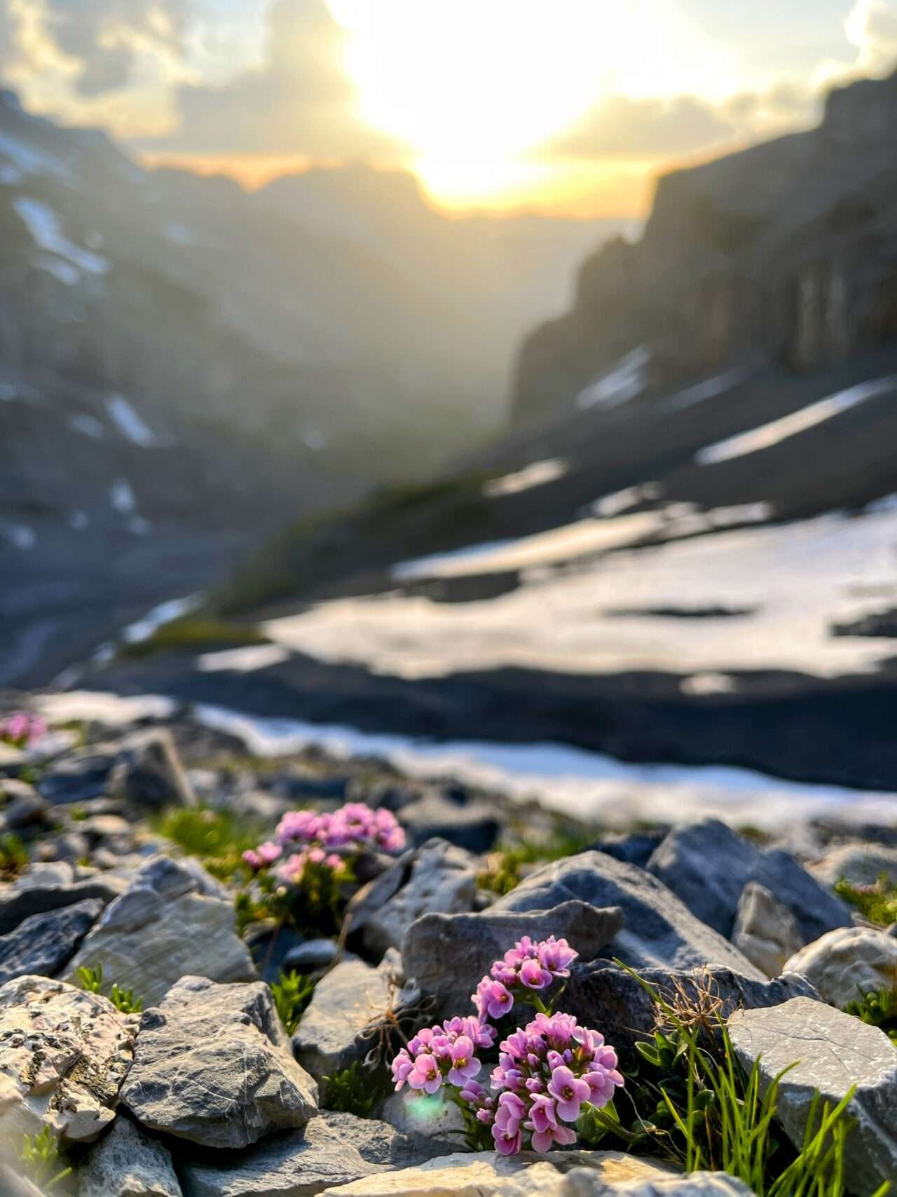 wanderung_griesalp_gspaltenhornhuette_