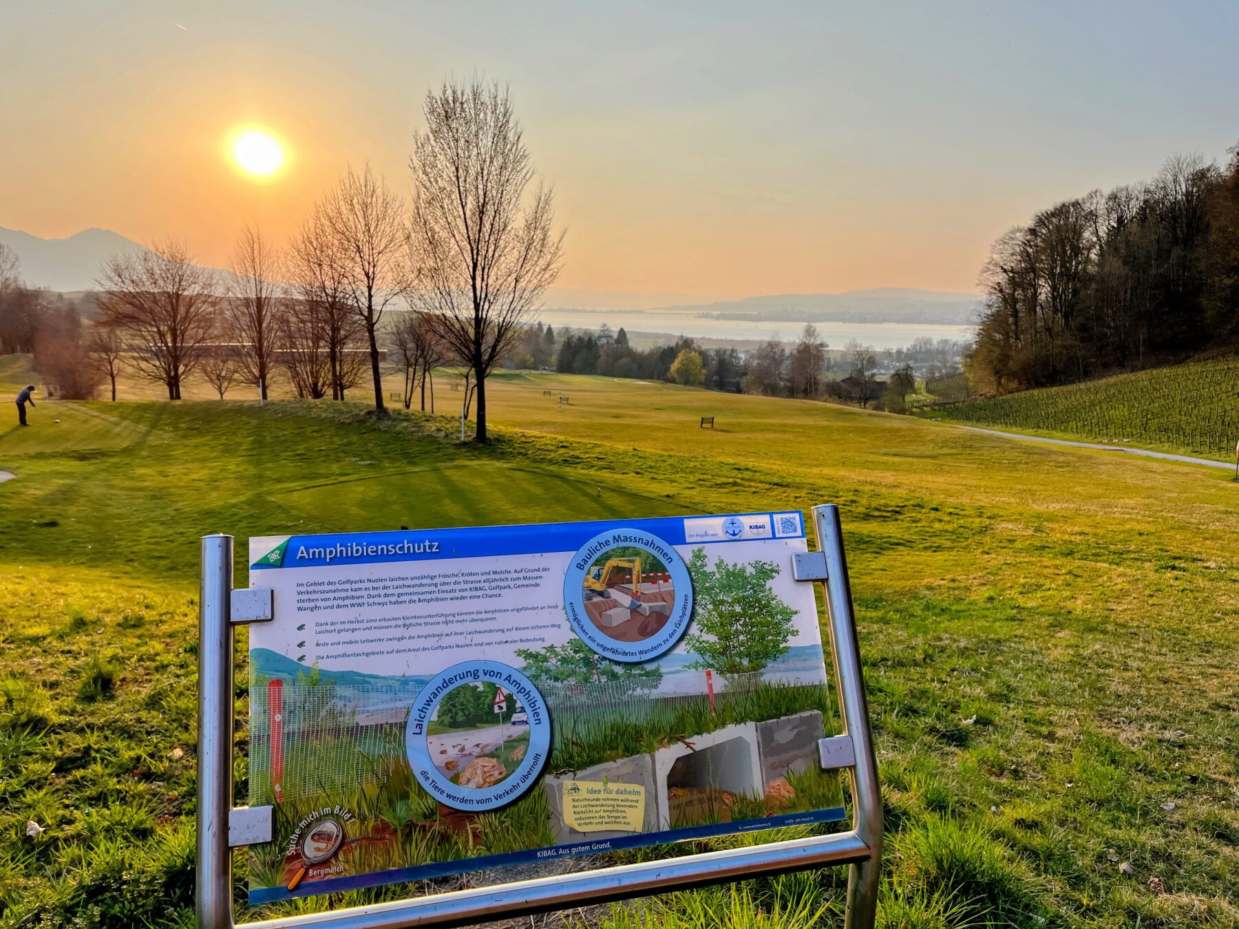 umrundung_zuerichsee_pfäffikon_schmerikon_