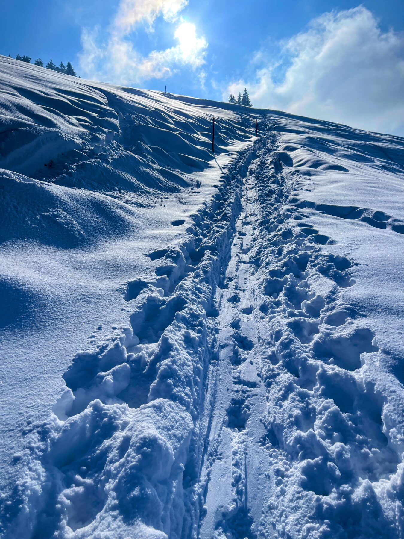 schneeschuhwanderung_rieden_tanzboden_