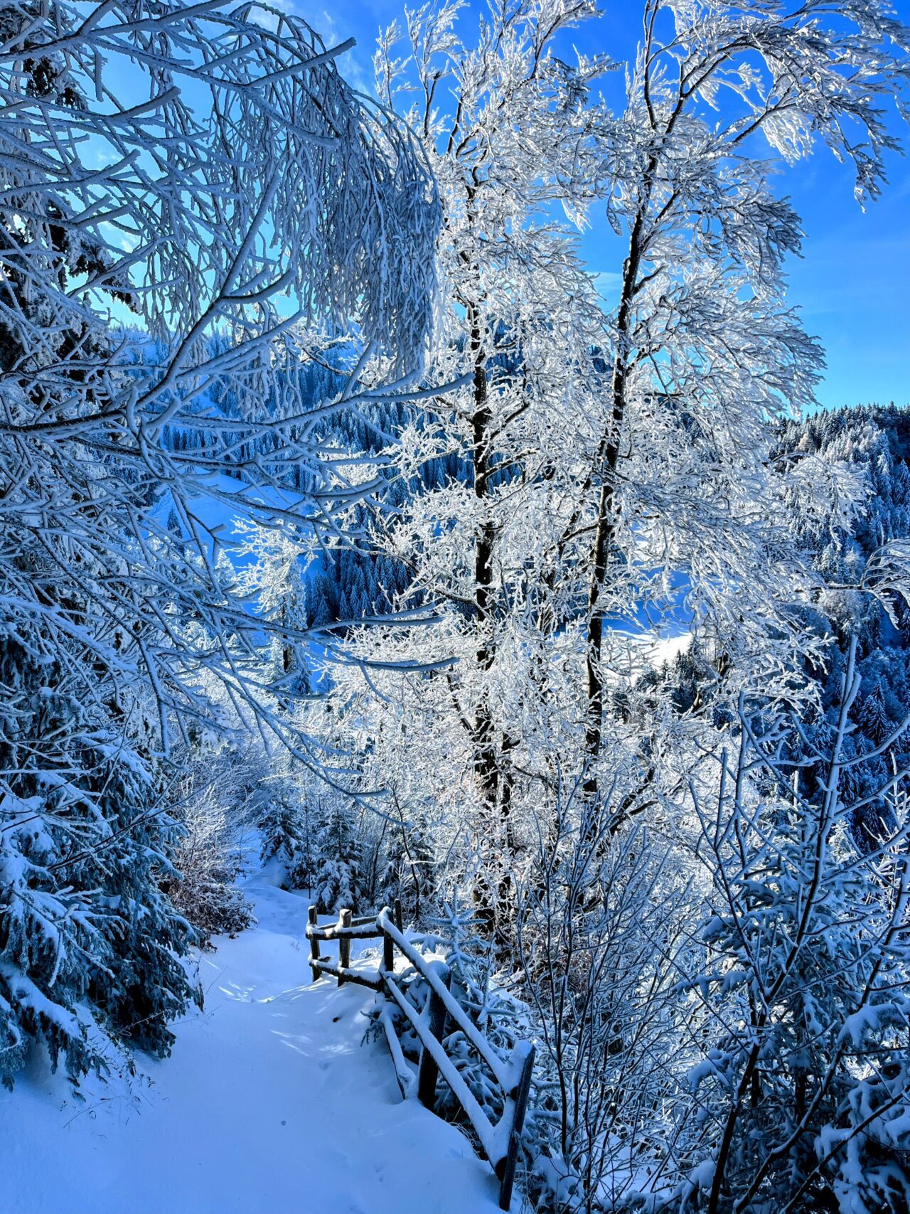 schneeschuhwanderung_wildspitz__IMG_2270