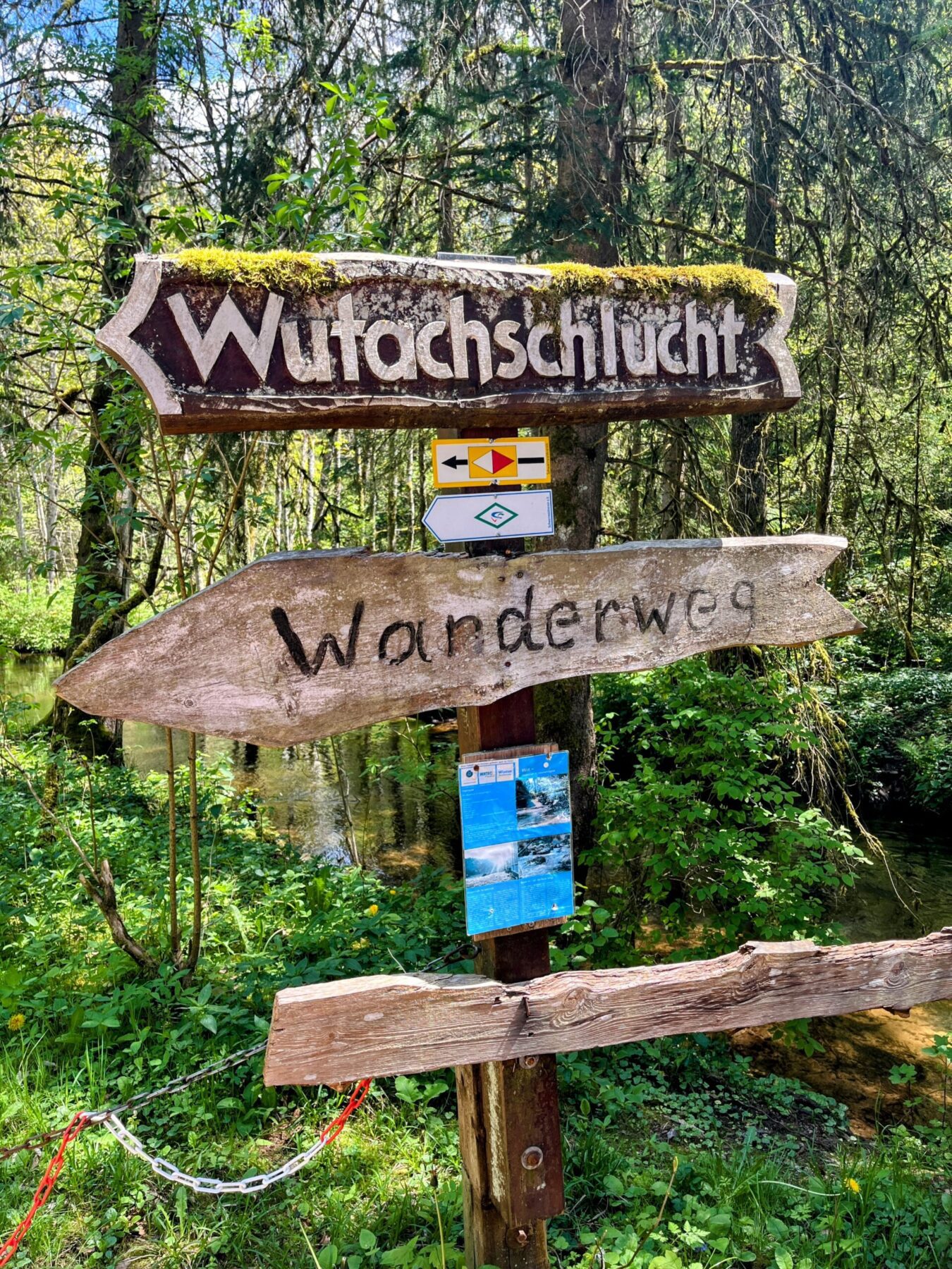 wanderung_schluchtensteig_schwarzwald_