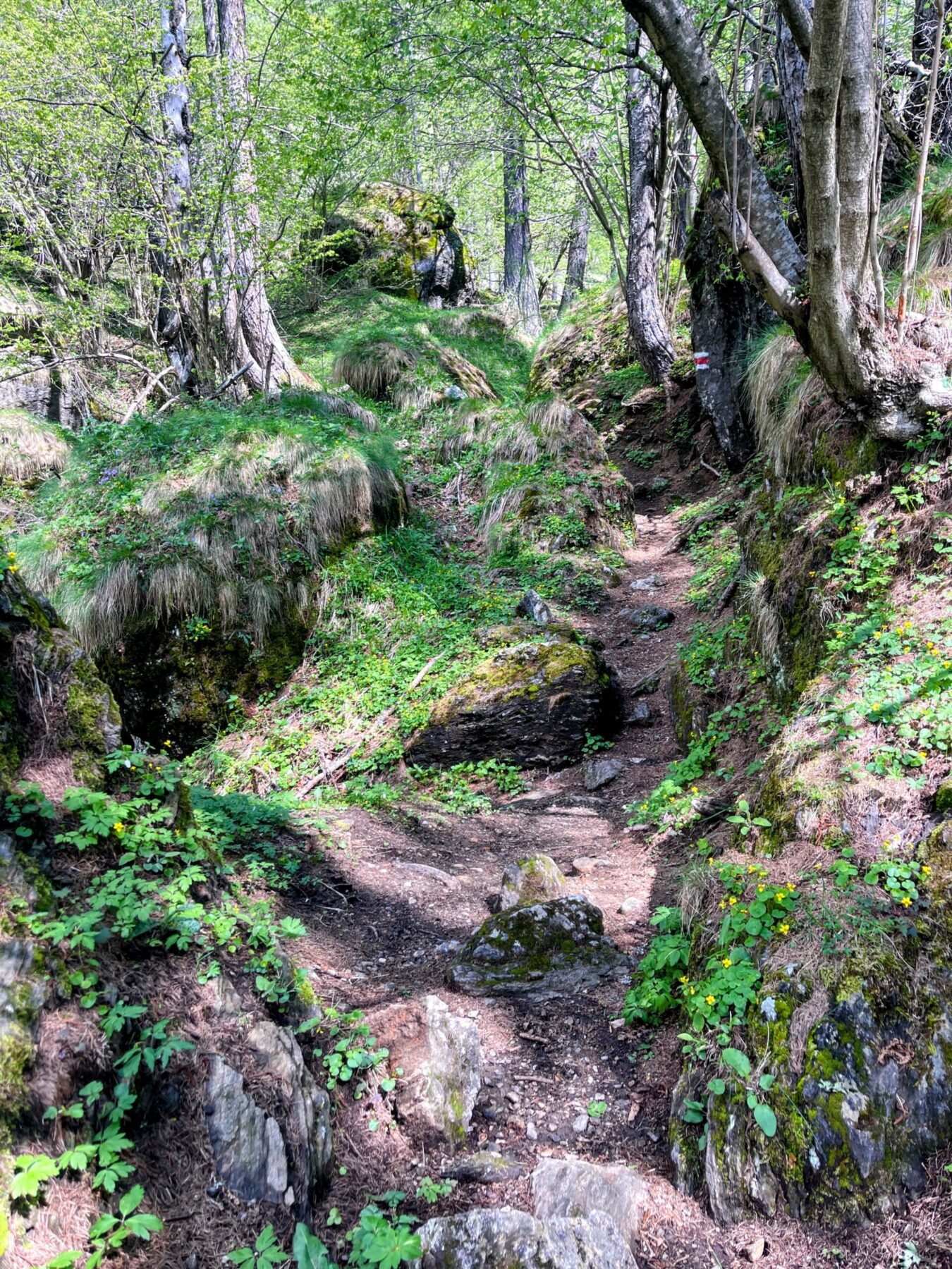 wanderung_san_carlo_capanna_basodino_
