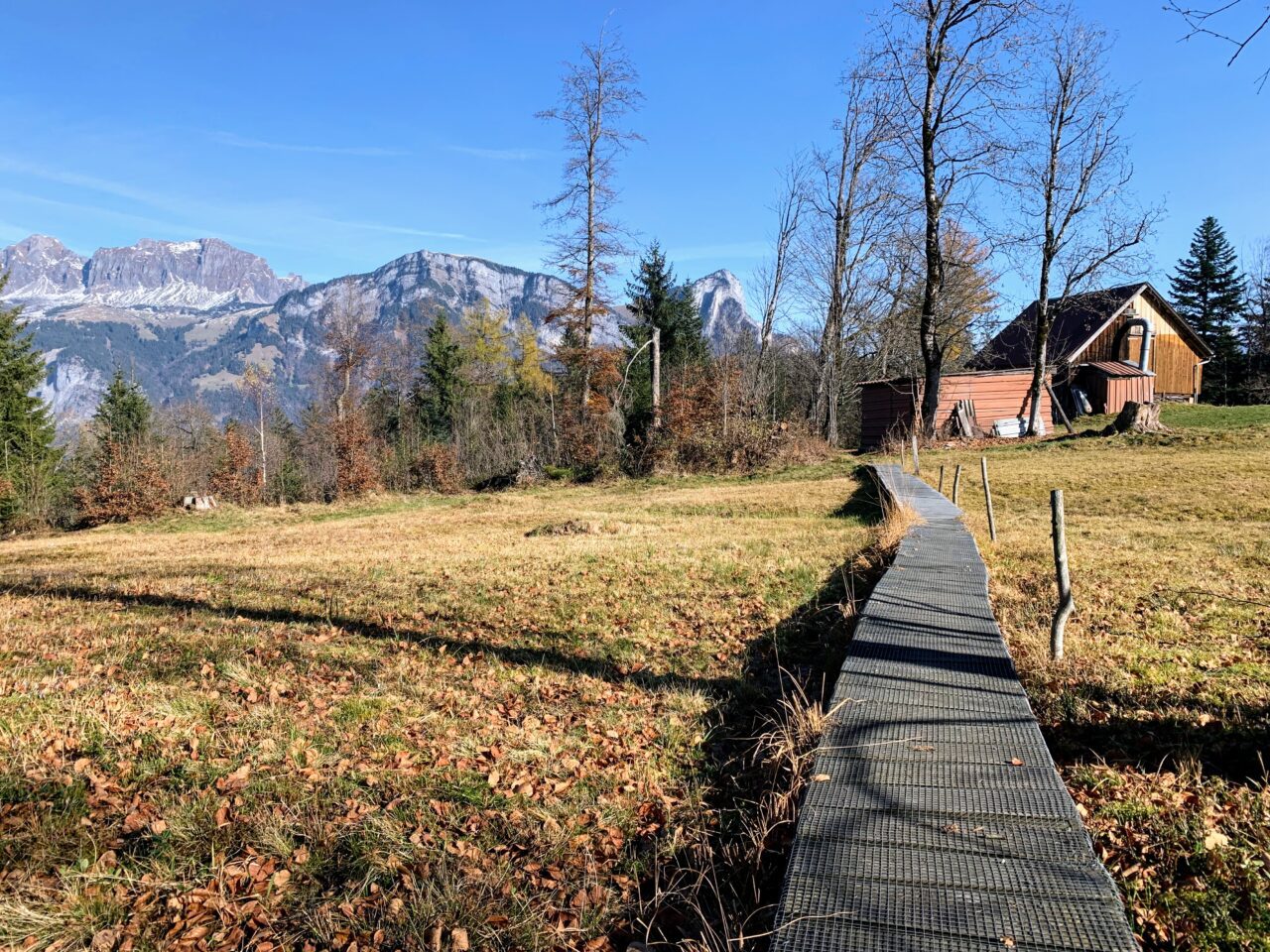 via_alpina_etappe_2_sargans_weisstannen_