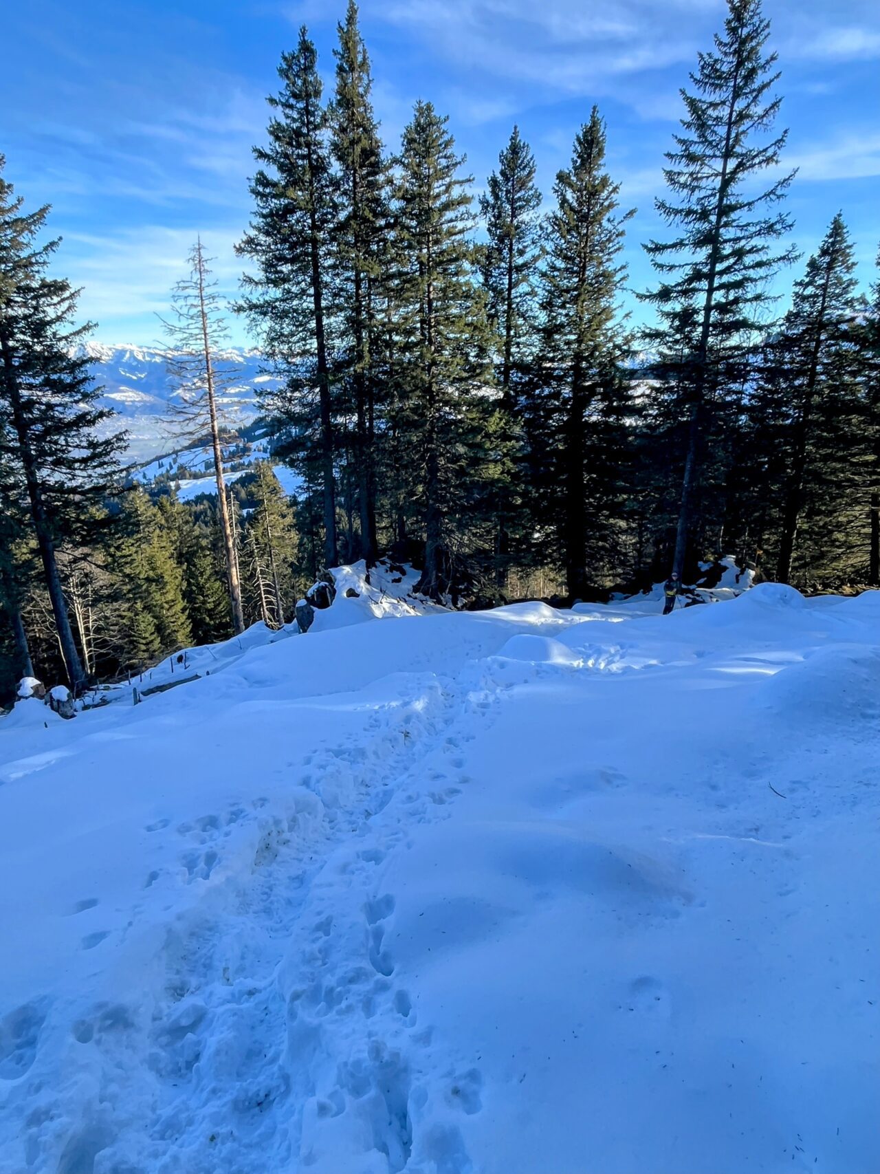 winterwanderung_fähnerenspitz__IMG_6547