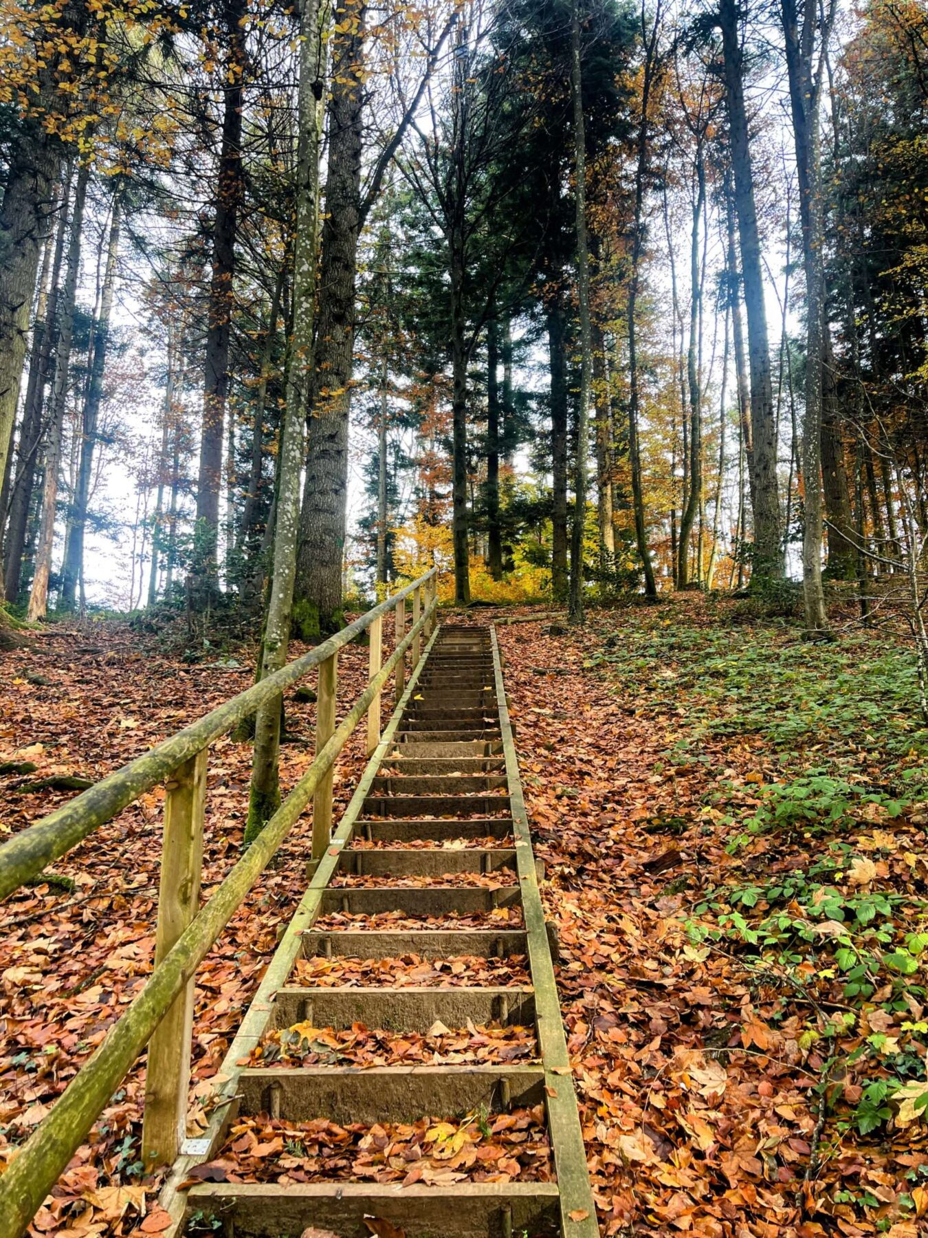 wanderung_schauenberg_