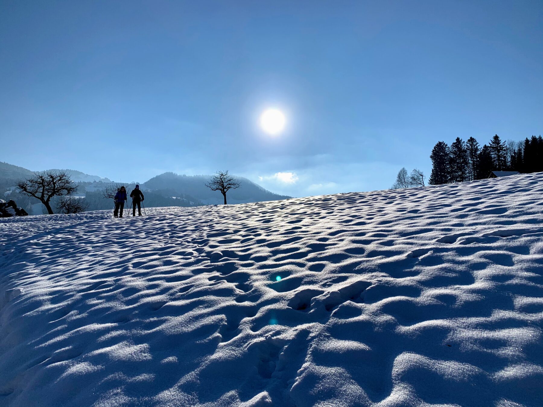 schneeschuhtour_halsegg_
