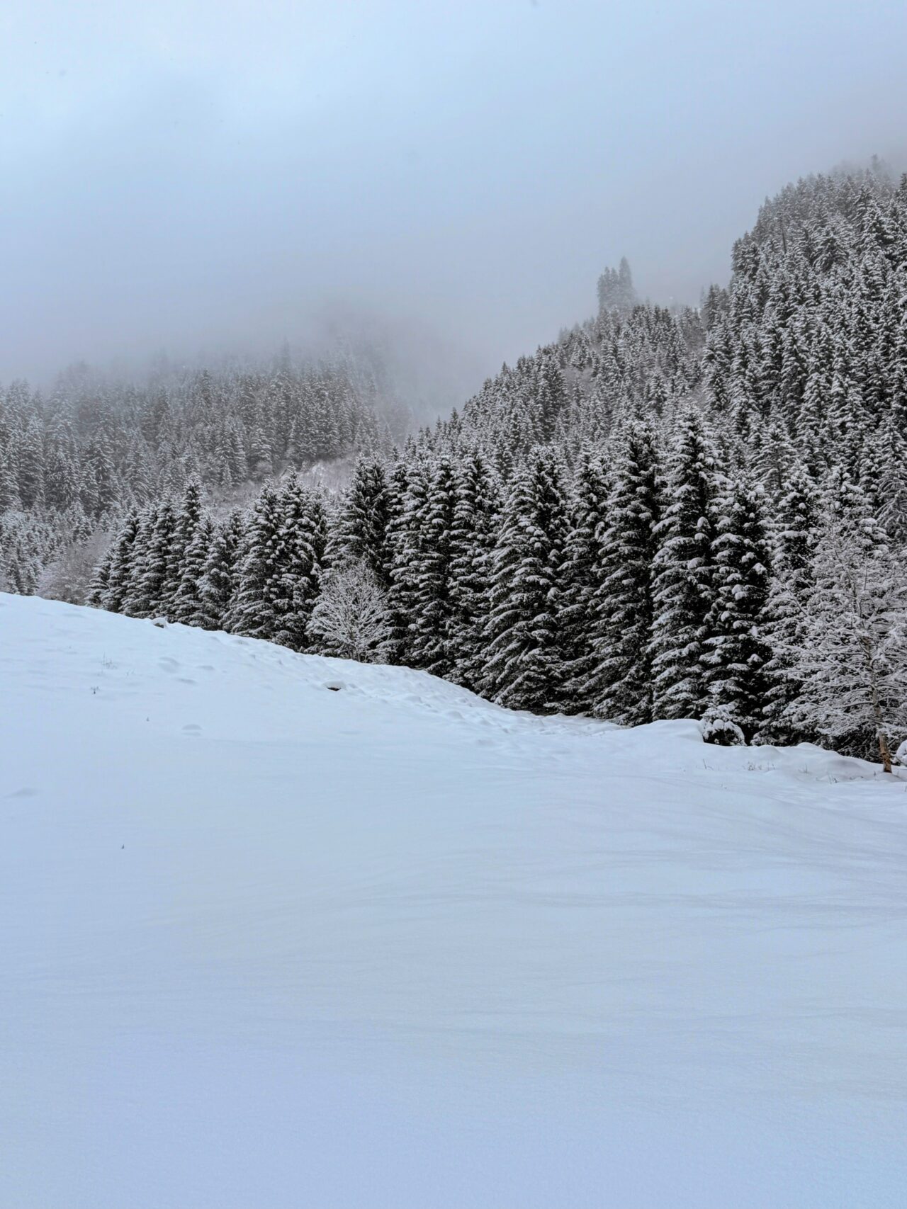 schneeschuhwanderung_klosters_schlappin__IMG_8879