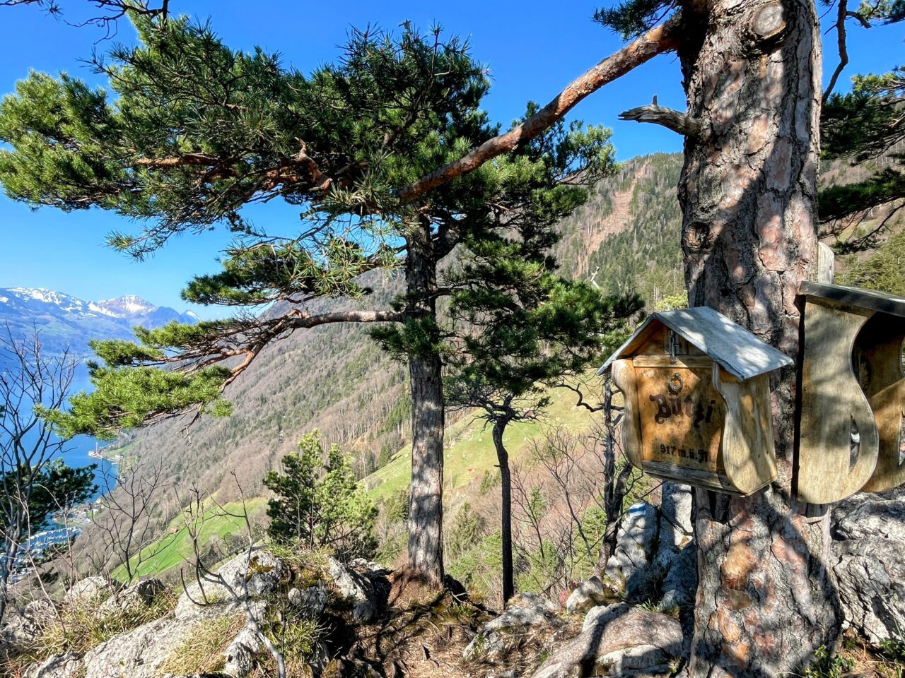 wanderung_urmiberg_stockflue_