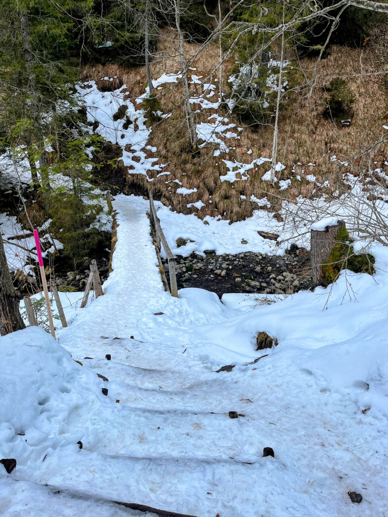 schneeschuhwanderung-brisenhaus-_IMG_0238 (Kopie)