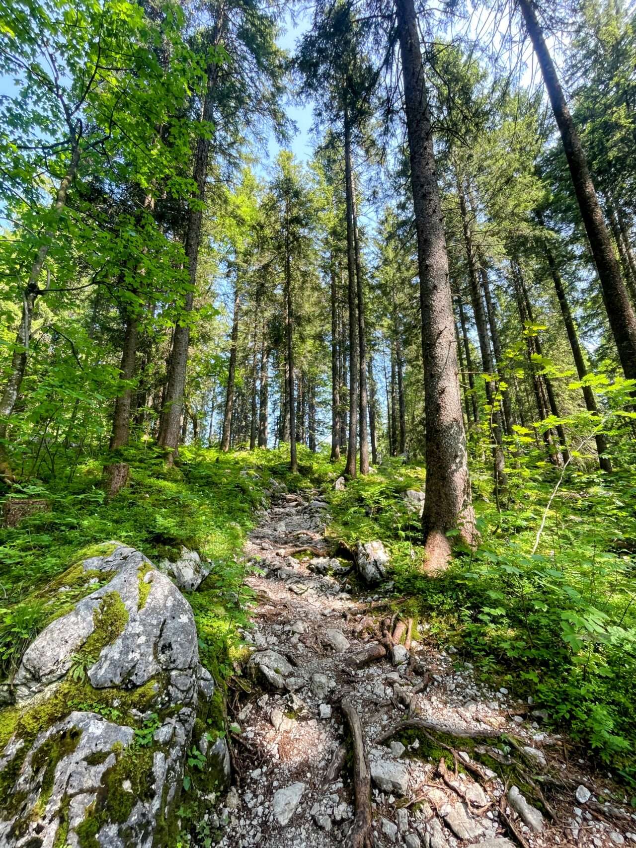 wanderung_brunni_hagenegg_mostelberg_sattel_