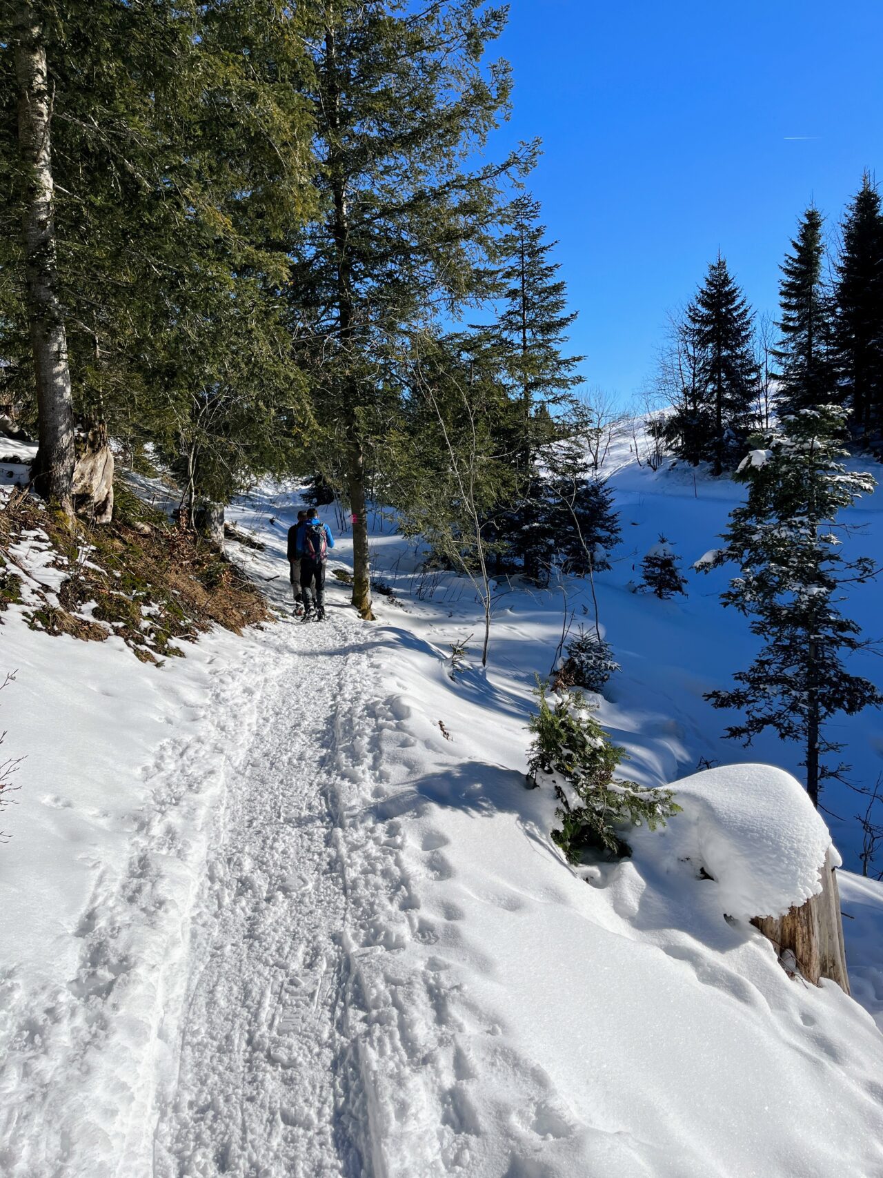 schneeschuhwanderung_rothenturm_ruchegg__IMG_0792