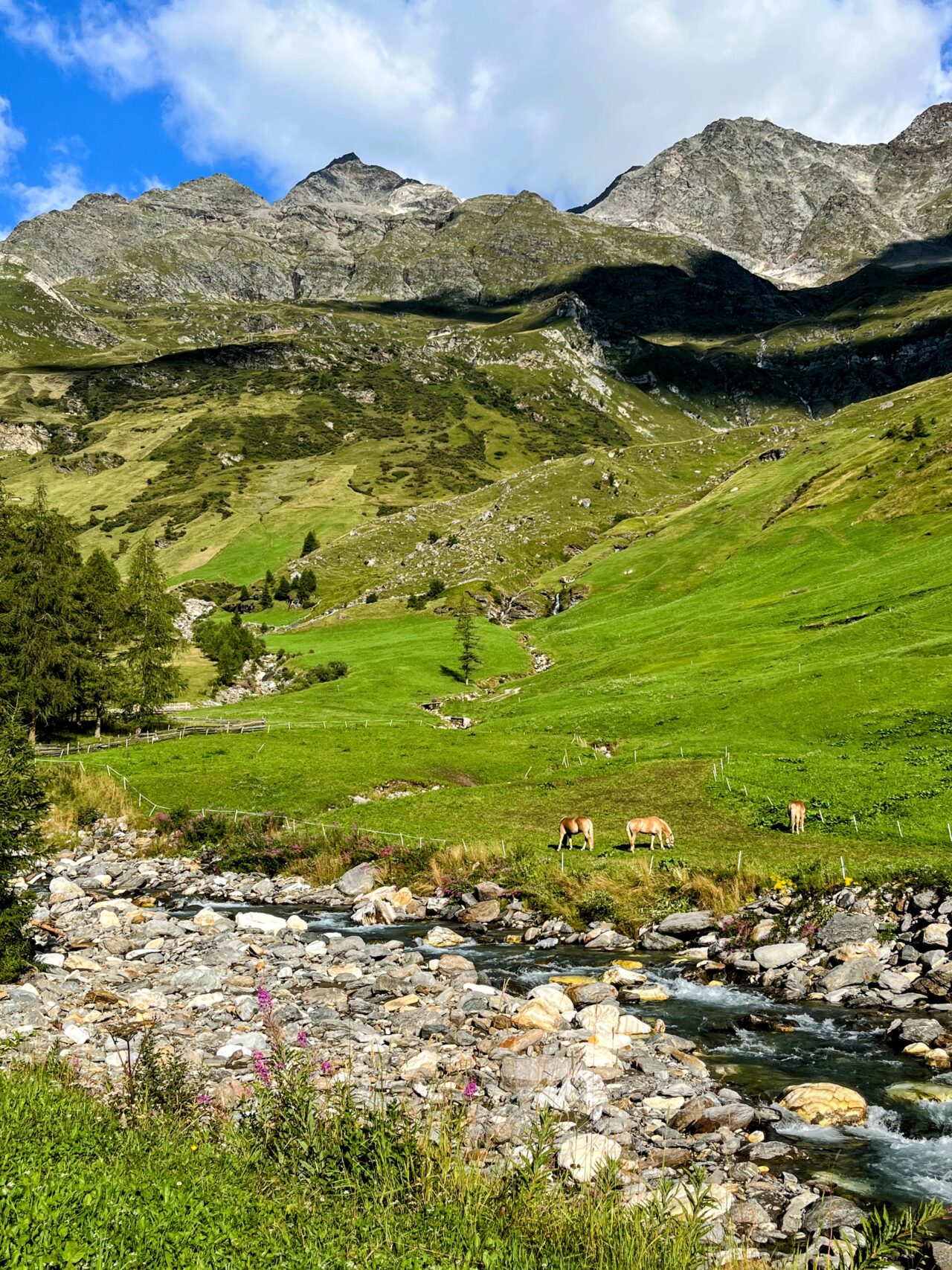 wanderung-meraner-hoehenweg-Pfelders-St-Martin-in-Passeier-