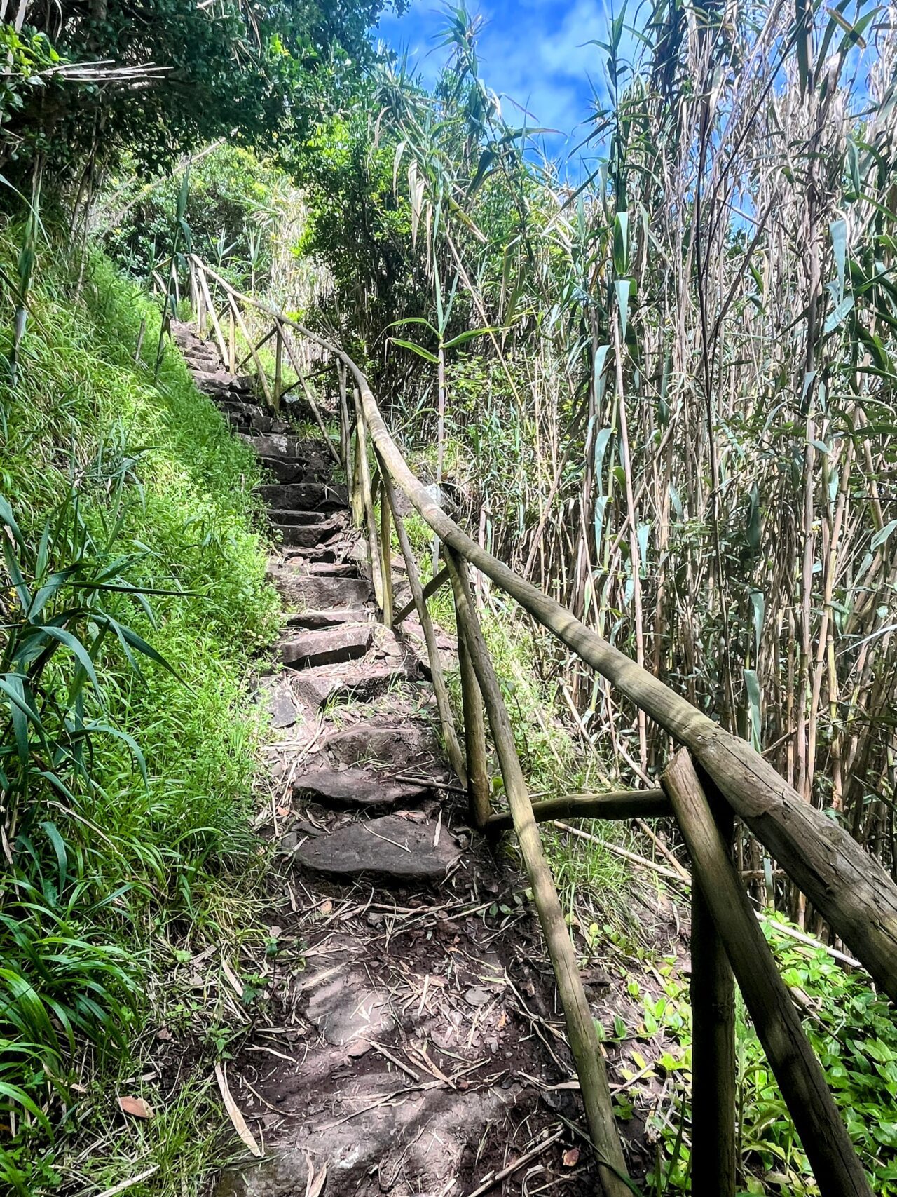 wanderung_ilha_a_pe_tag_3_lapa_norte_