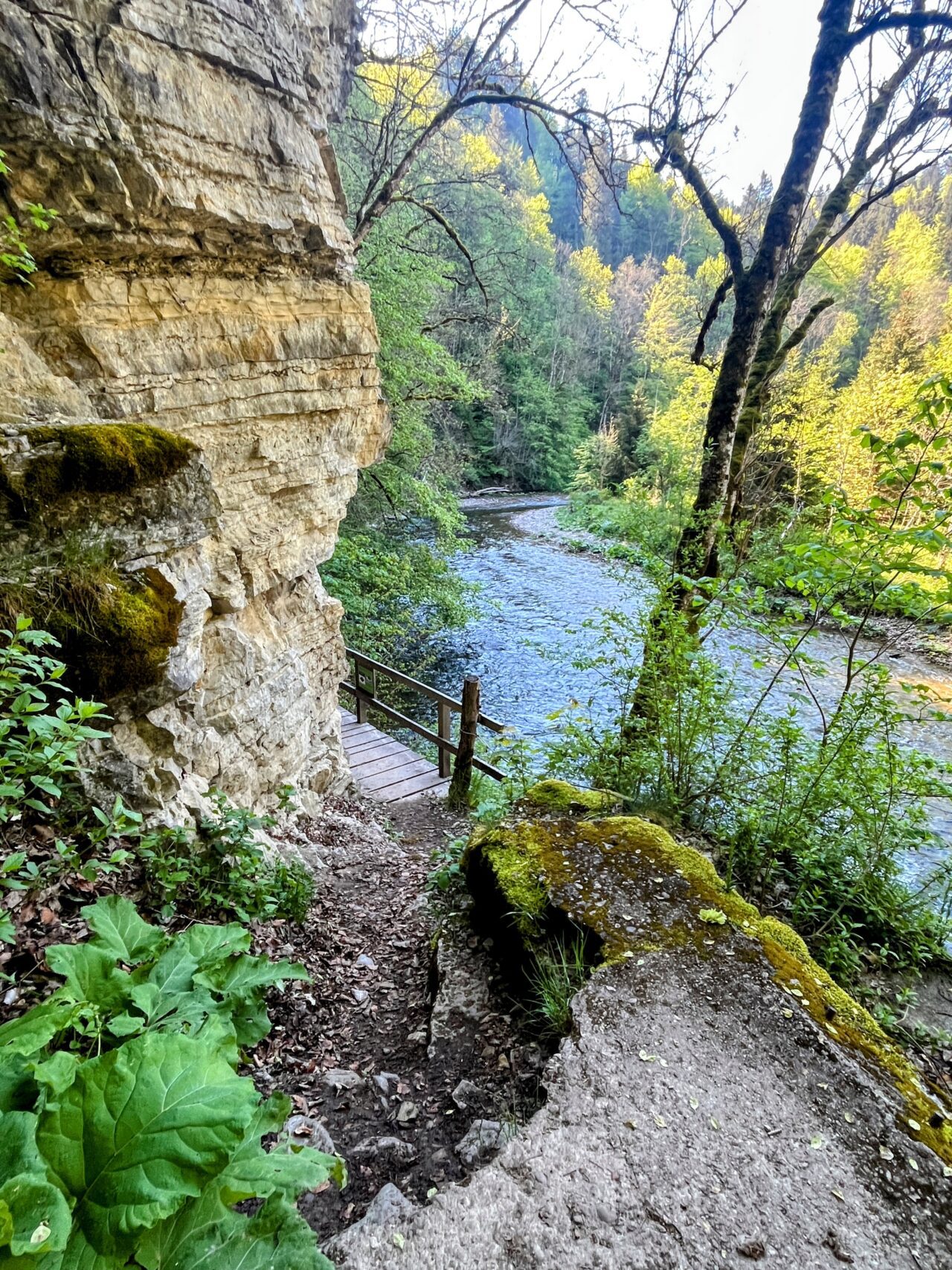 wanderung_schluchtensteig_schwarzwald_