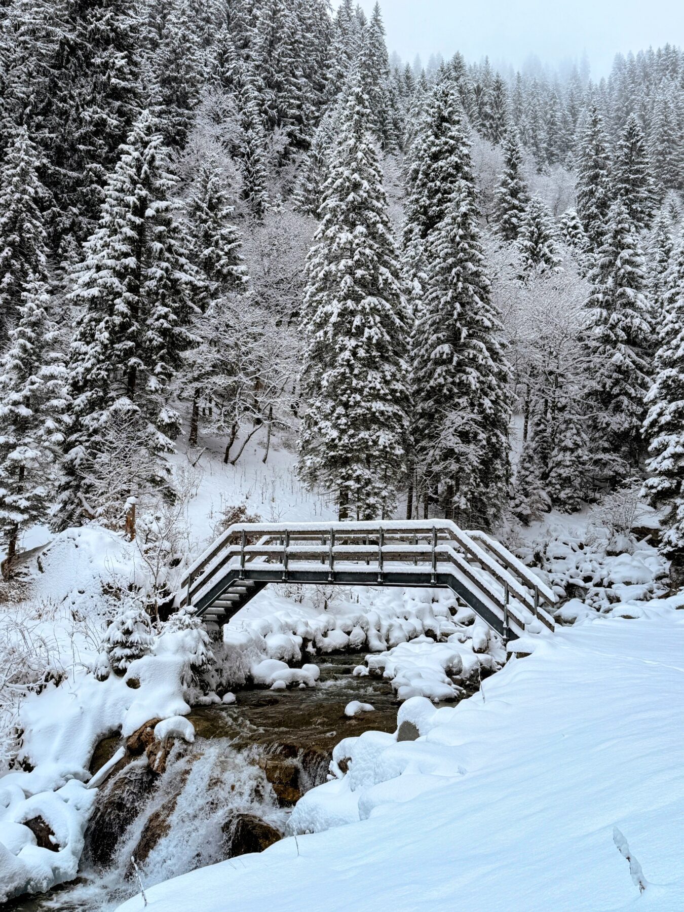 schneeschuhwanderung_klosters_schlappin_