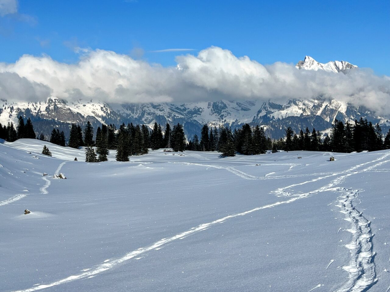 schneeschuhwandern_alp_sellamatt_fruemseltal__IMG_6727