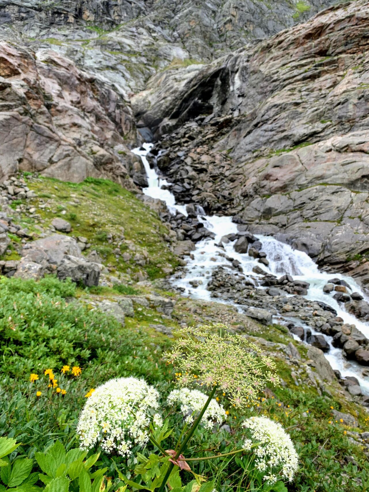 alpenueberquerung_mit_kindern_tag_6_von_mittelberg_zur_braunschweiger_huette_