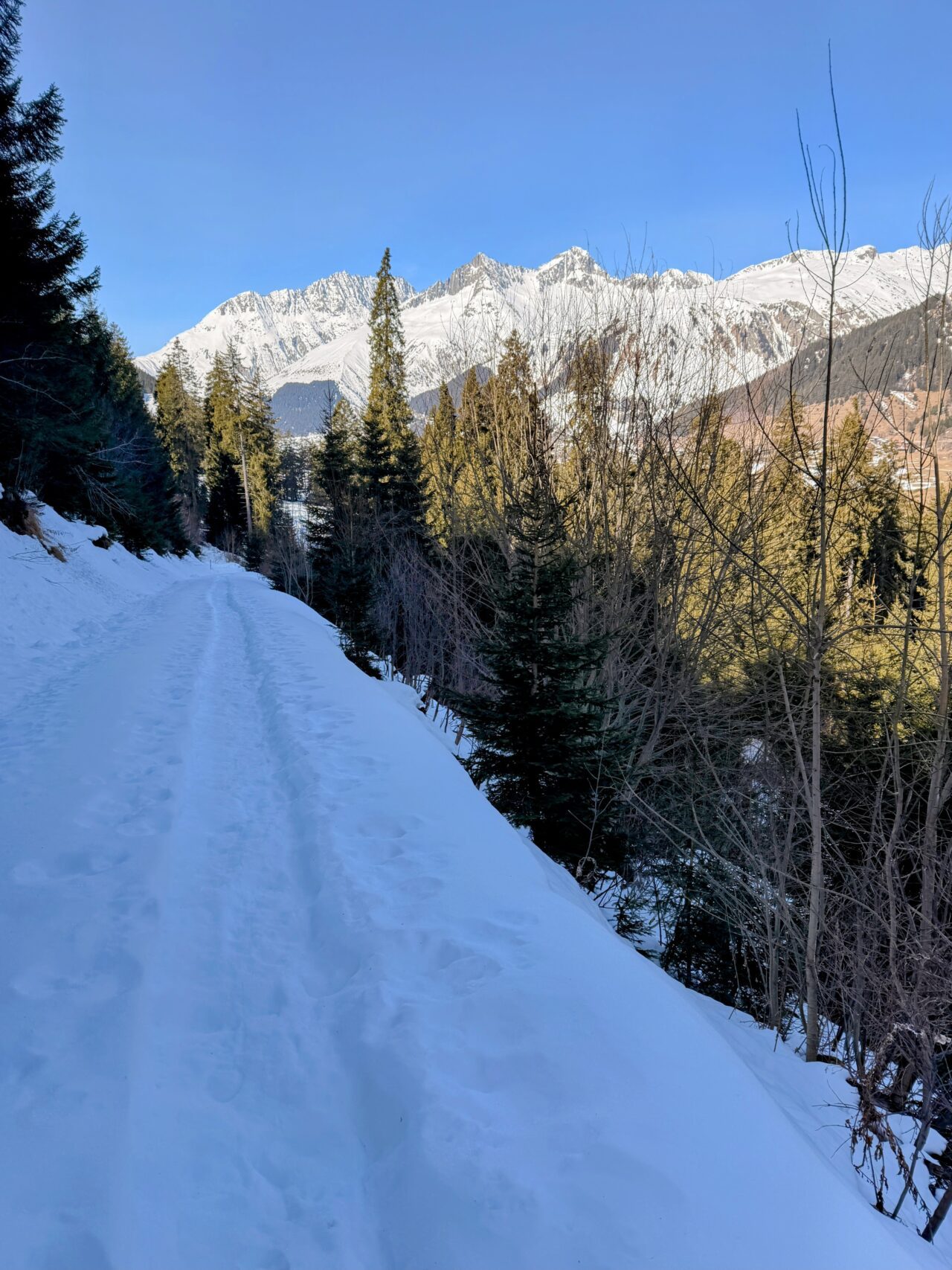 schneeschuhsafari-graubuenden-sedrun-disentis-_IMG_0265