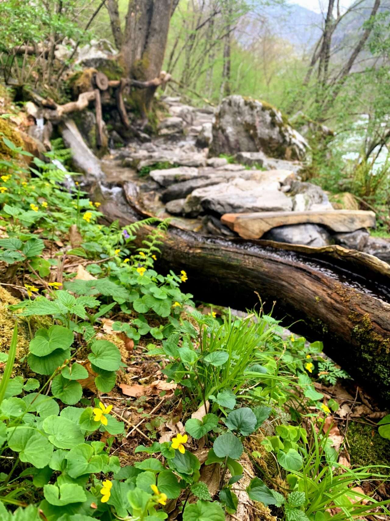 wanderung_bososco_verzascatal_