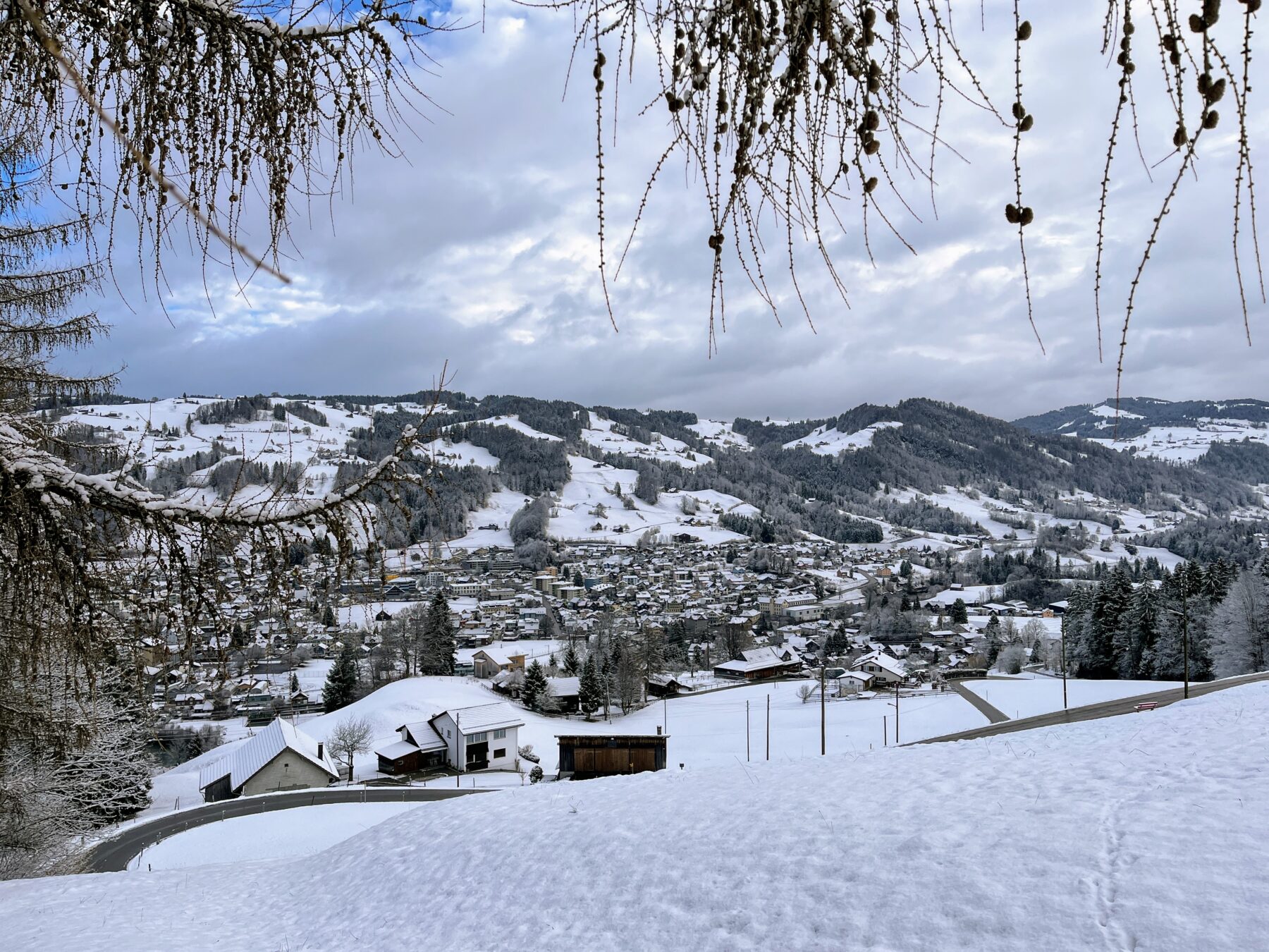 schneeschuhwandern_tanzboden_