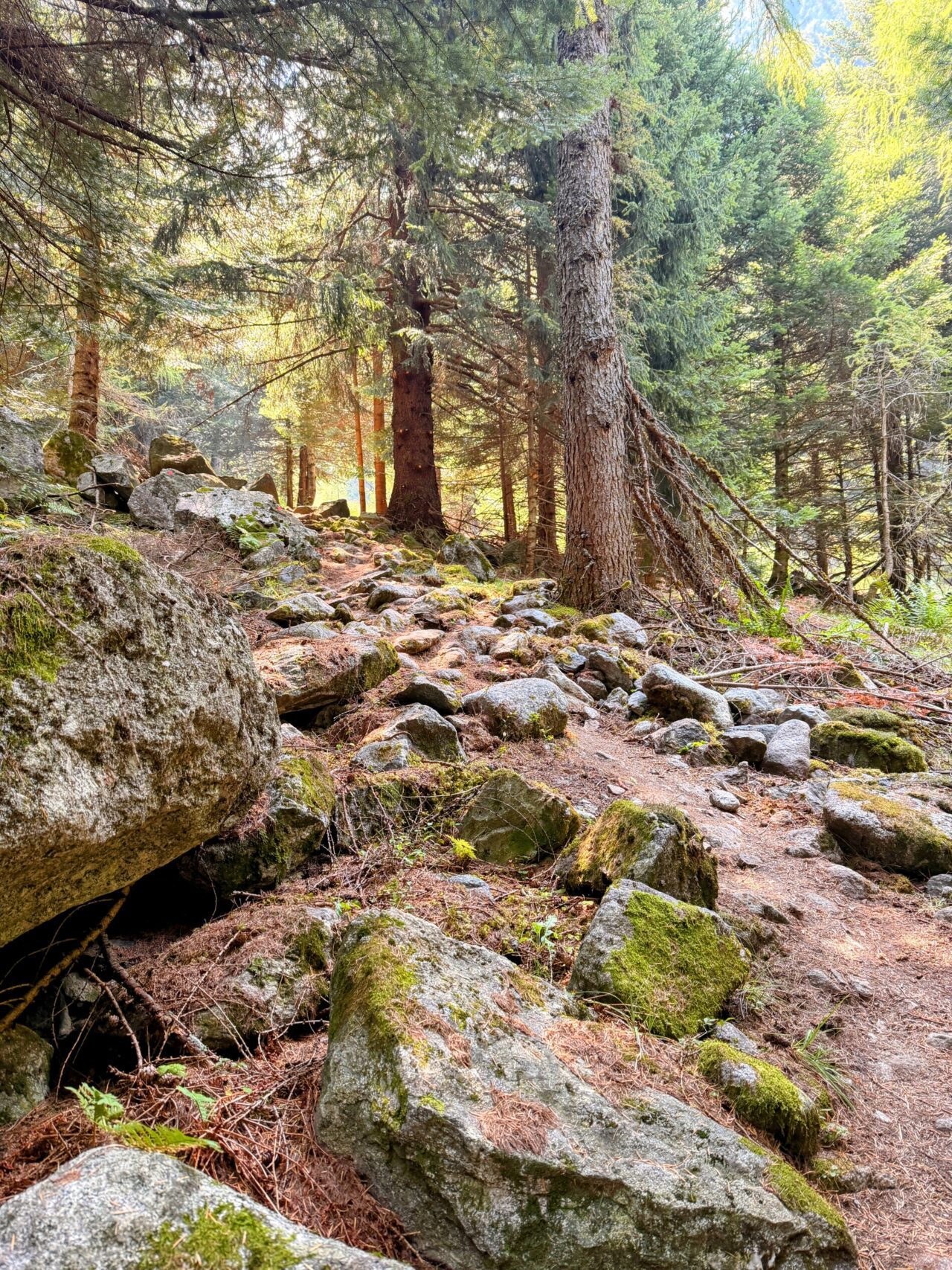 wanderung_sentiero_alpino_bregaglia_sciorahuette_sasc_furae_huette__IMG_0490
