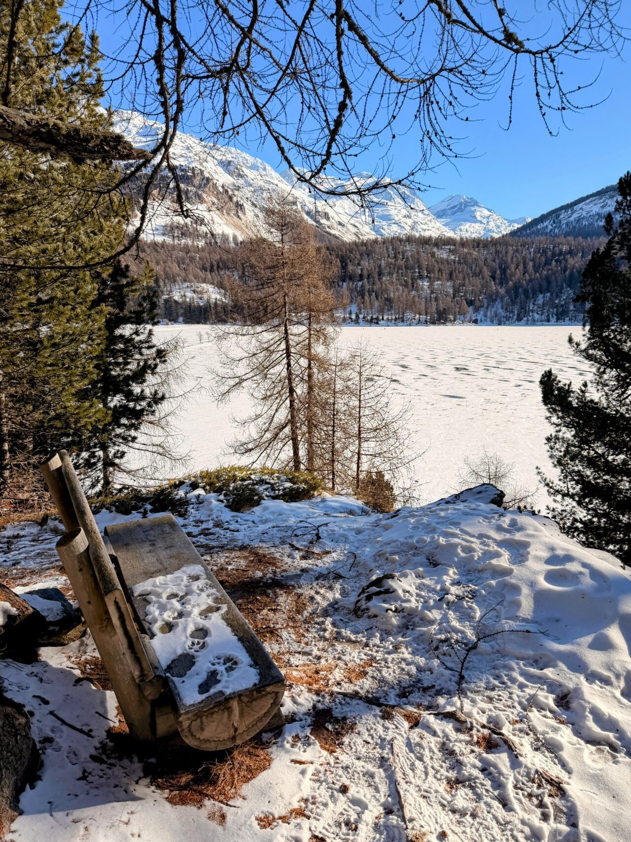 wanderung_silsersee_schwarzeis__IMG_9082