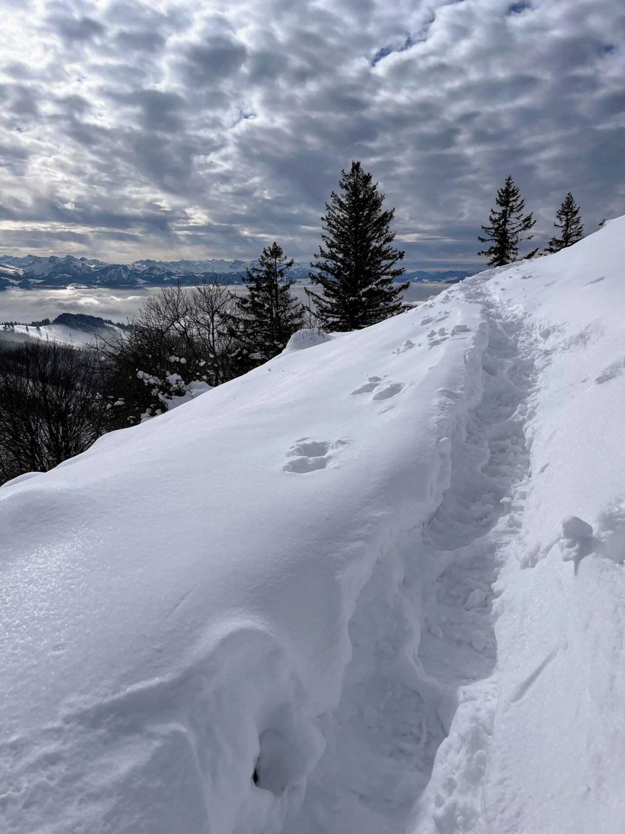 schneeschuhwanderung_atzmaennig_chruezegg_