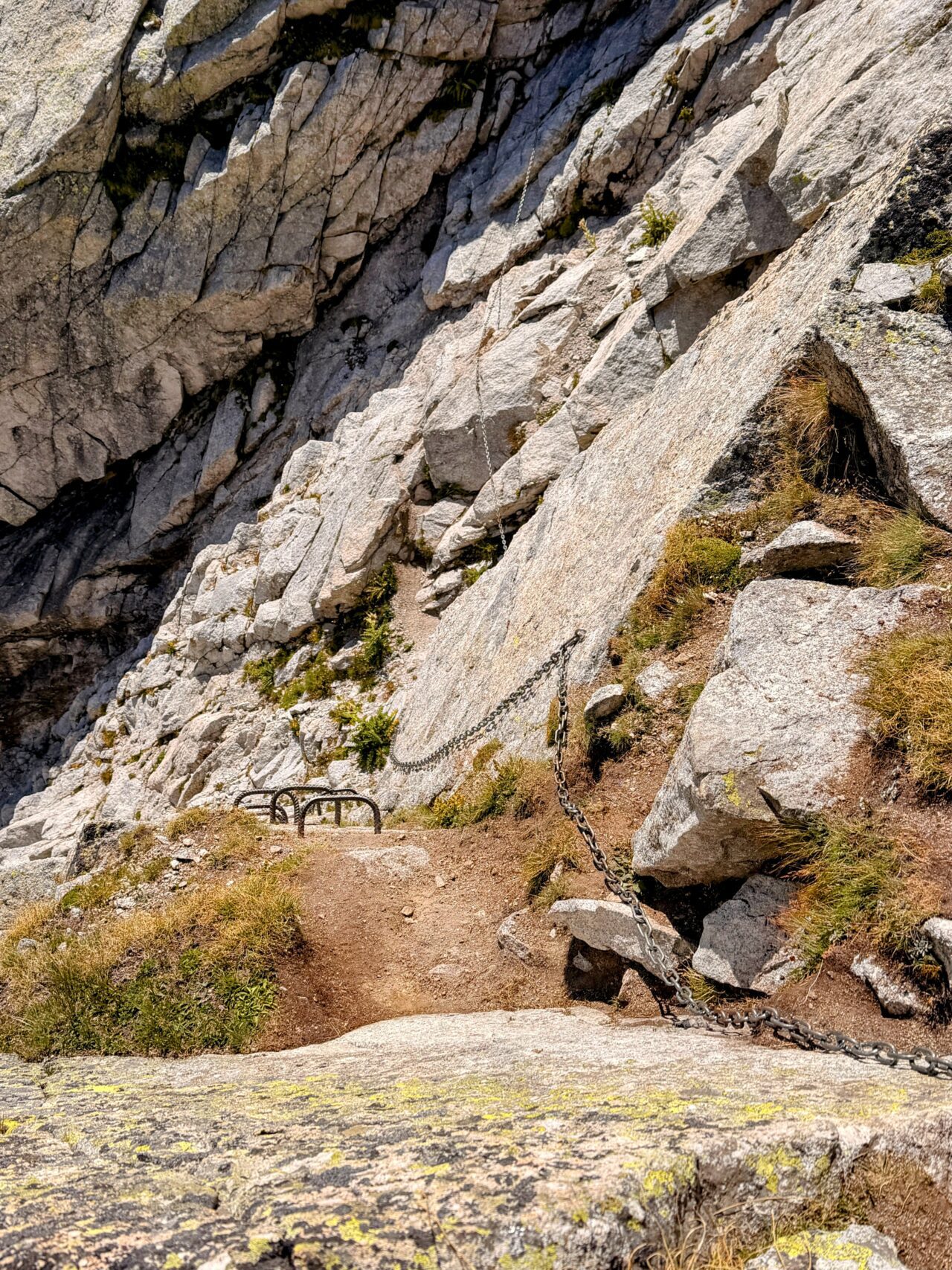 wanderung_sentiero_alpino_bregaglia_maloja_albignahuette__IMG_0212