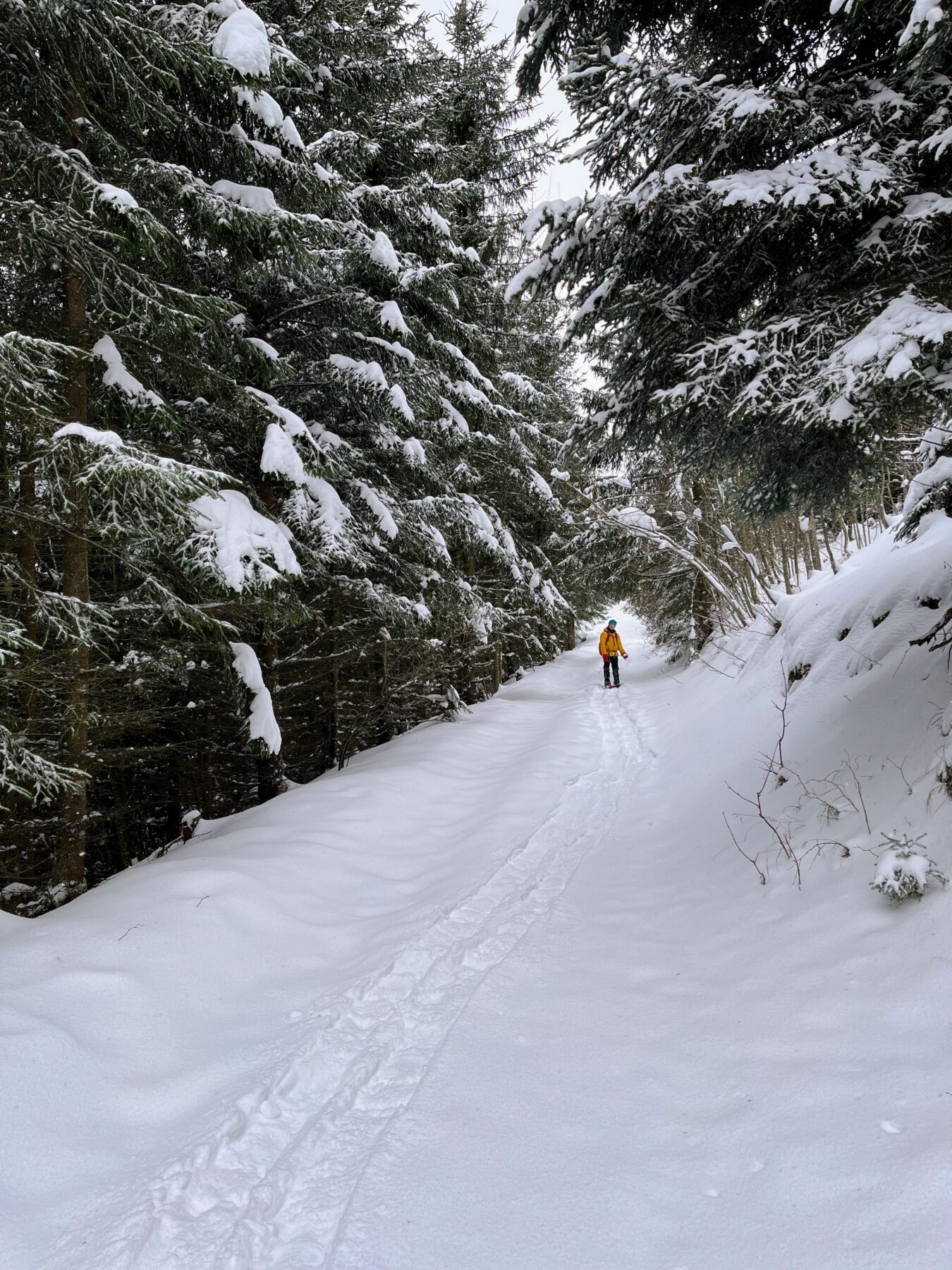 schneeschuhtour_sattelegg_