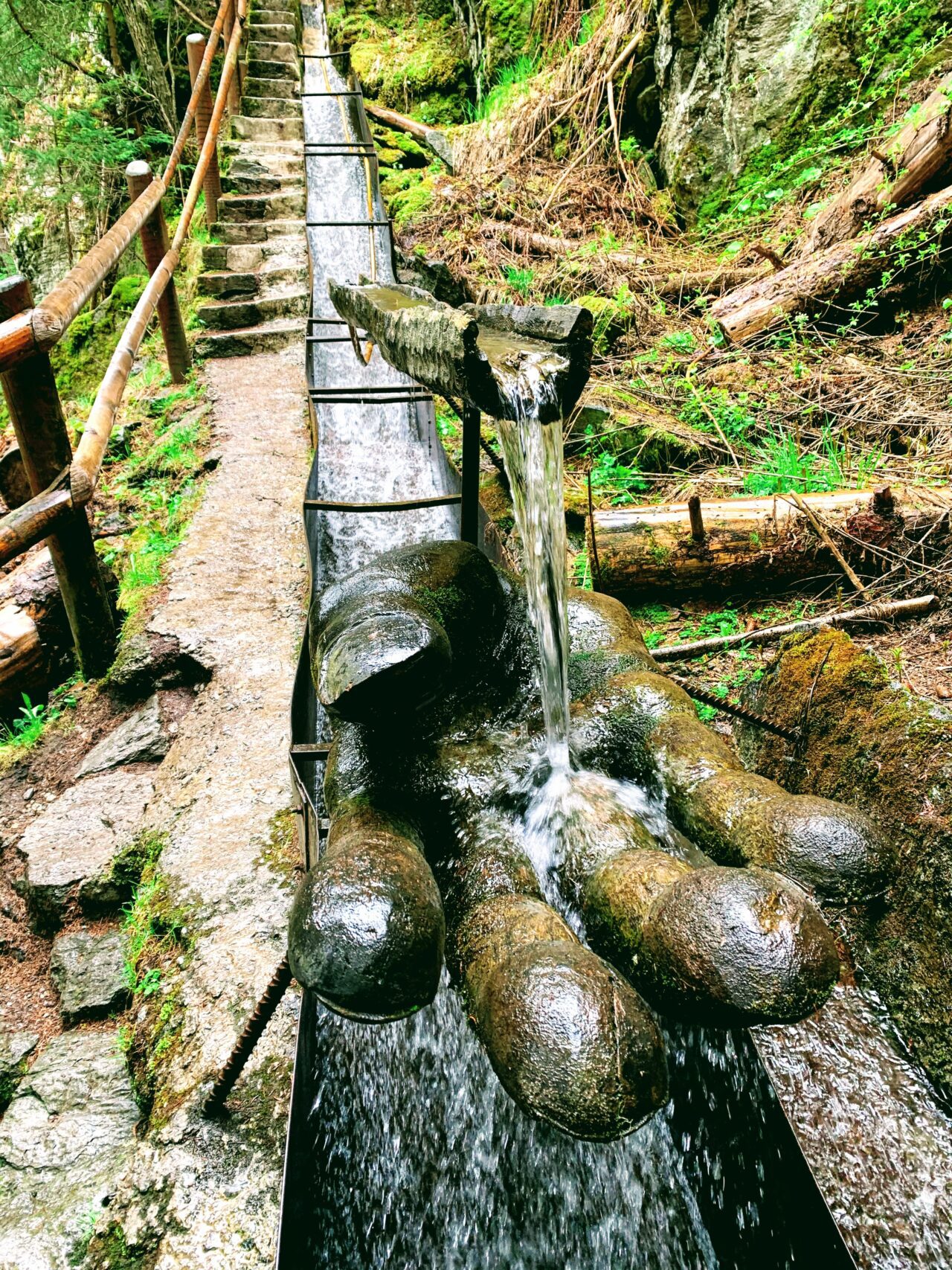 wanderung_bisse_du_milieu_bisse_vieux_