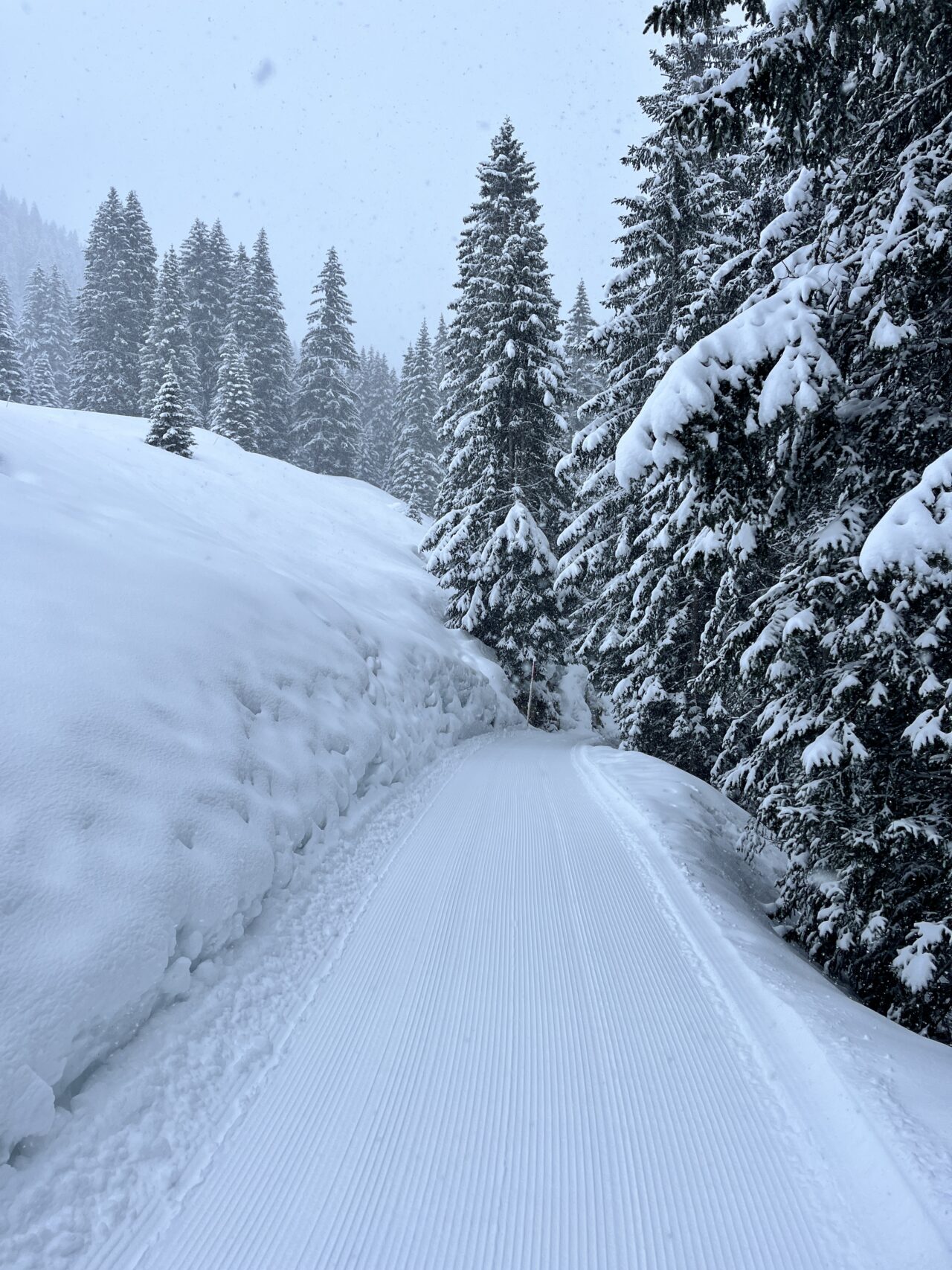 winterwanderung_lech_zug_vorderes_aelpele__IMG_4495