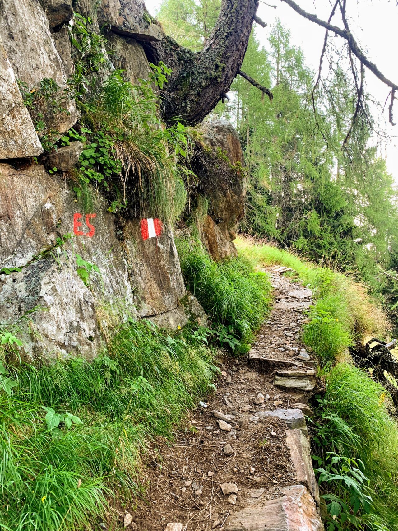 alpenueberquerung_mit_kindern_etappe_9_pfandler_alm_hirzer_huette_