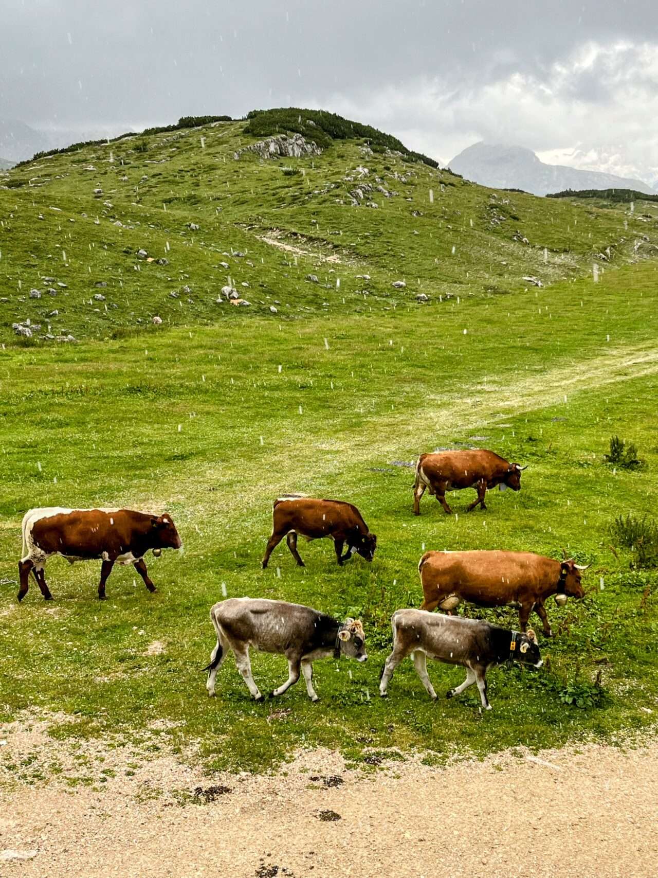 wanderung_dolomiten_hoehenweg_1_etappe_1_pragser_wildsee_rifugio_sennes_