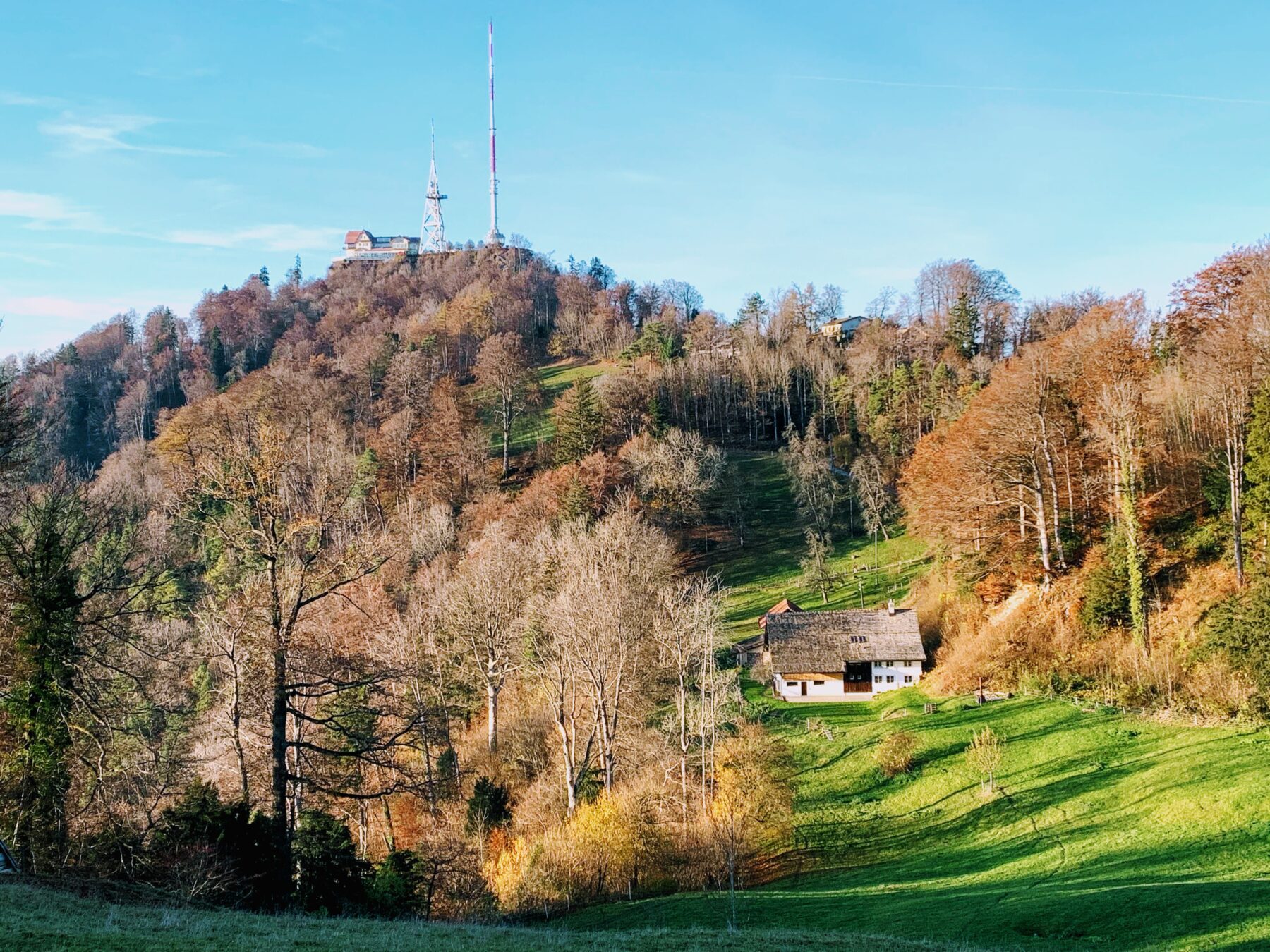 wanderung_Felsenegg_uetliberg_albisgrat_
