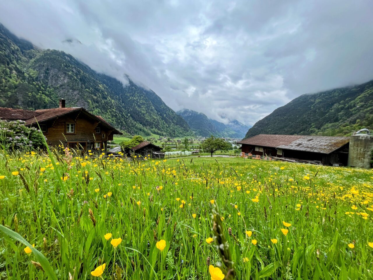 trans_swiss_trail_flüelen_amsteg_