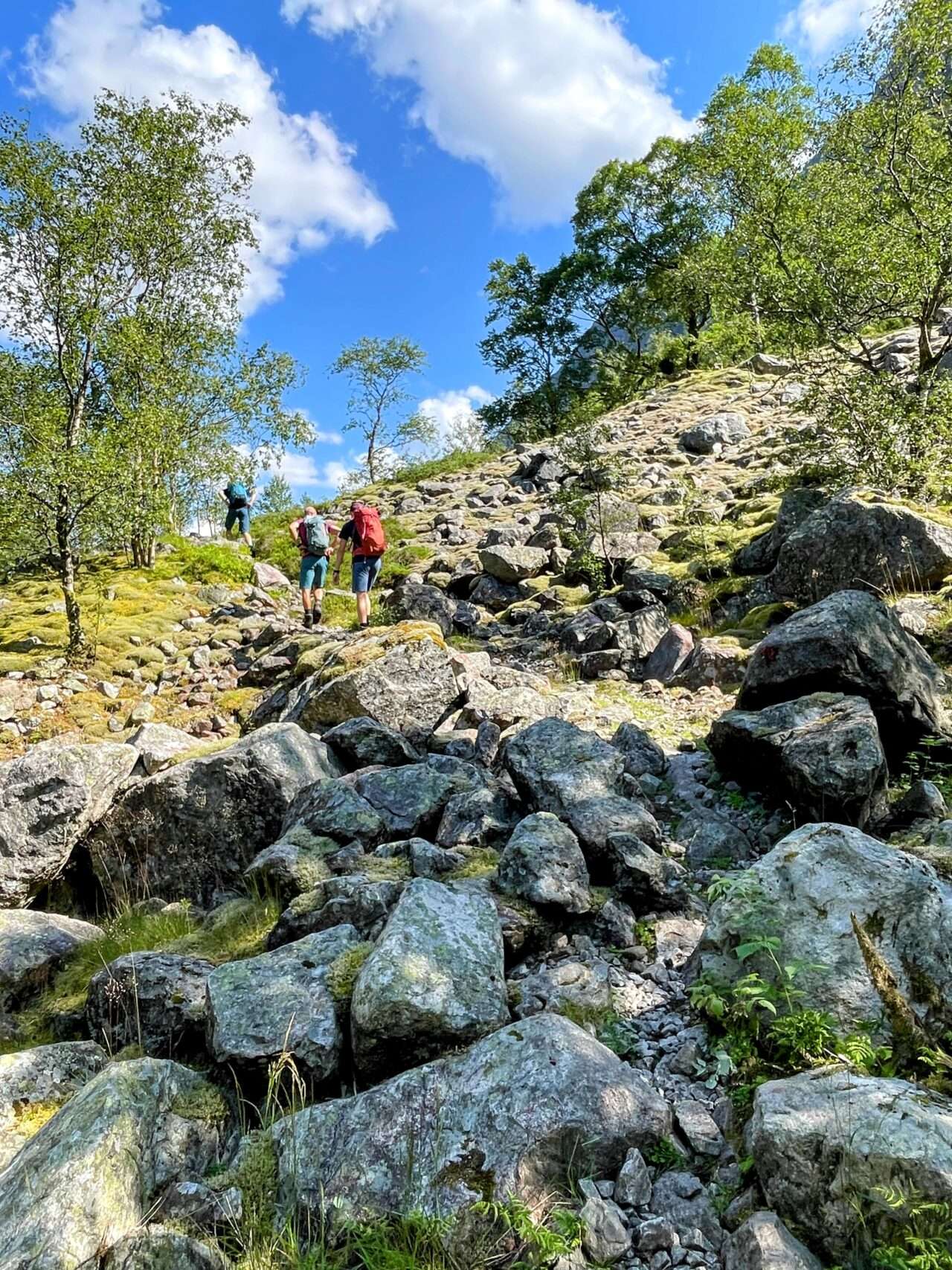 wanderung_eikeskog_blafjellenden_