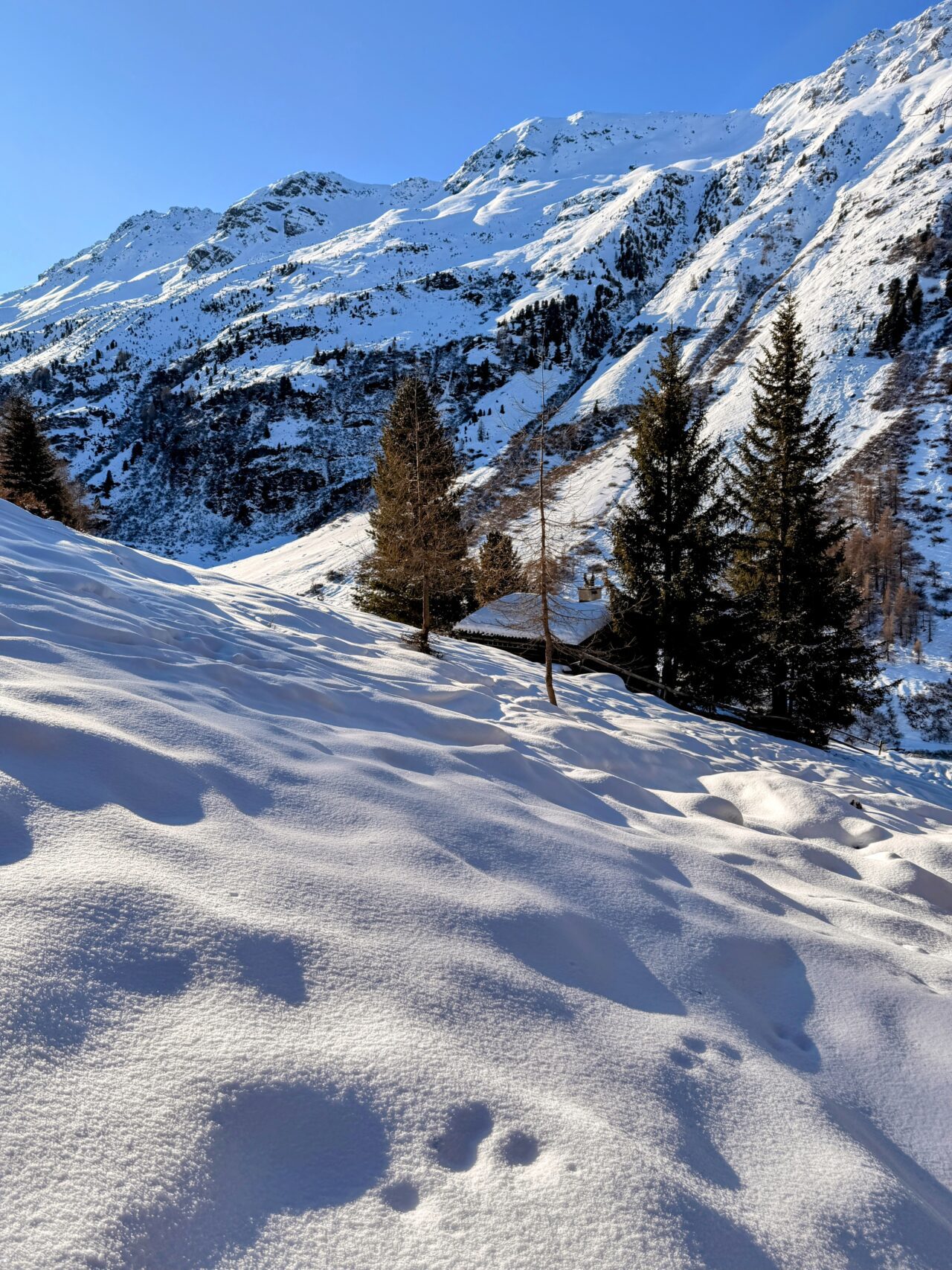 schneeschuhtour_pischa__IMG_9460