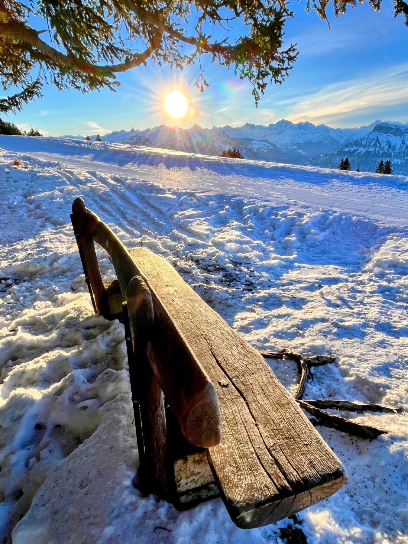 winterwandern_rigi_
