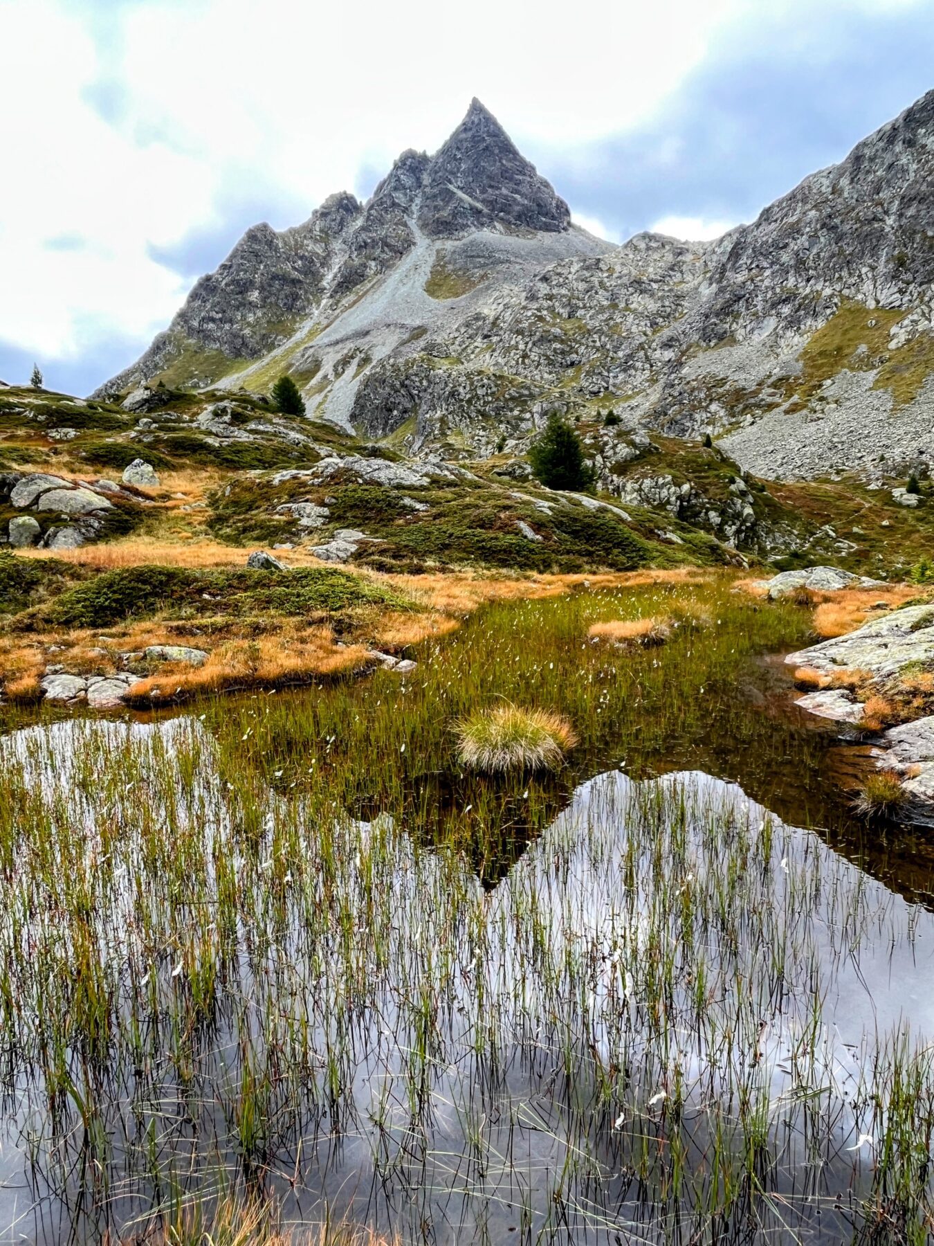 wanderung_bernina_trek_tag_2_eschahuette_jenatschuette_