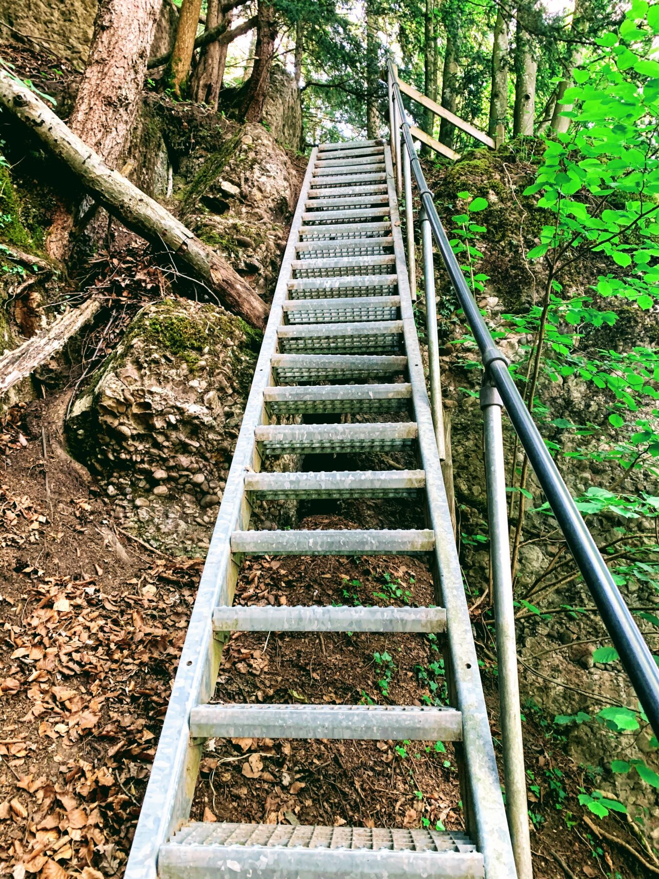 wanderung_waldstaetterweg_vitznau_kuesnacht_am_rigi_